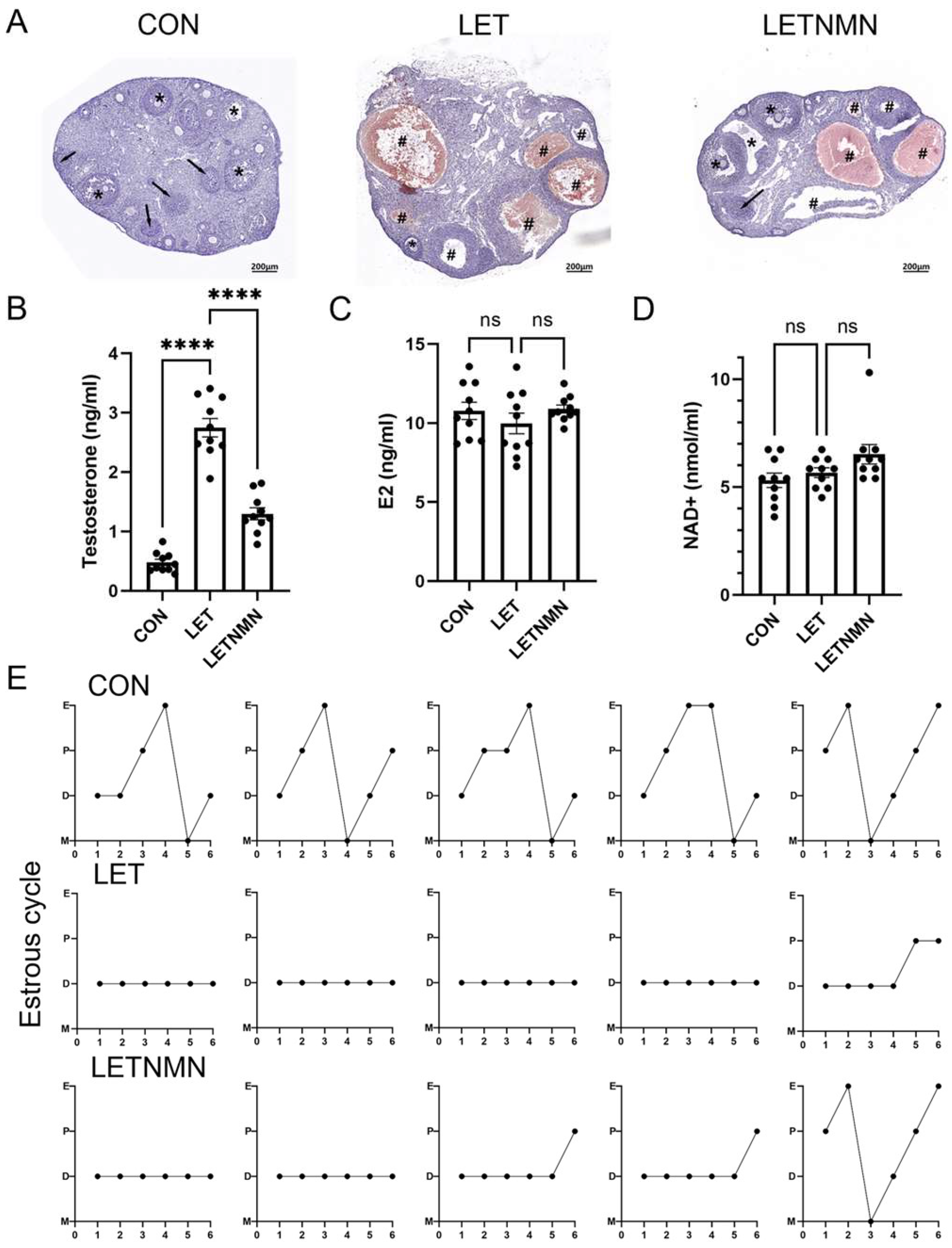 Biology 13 01028 g002