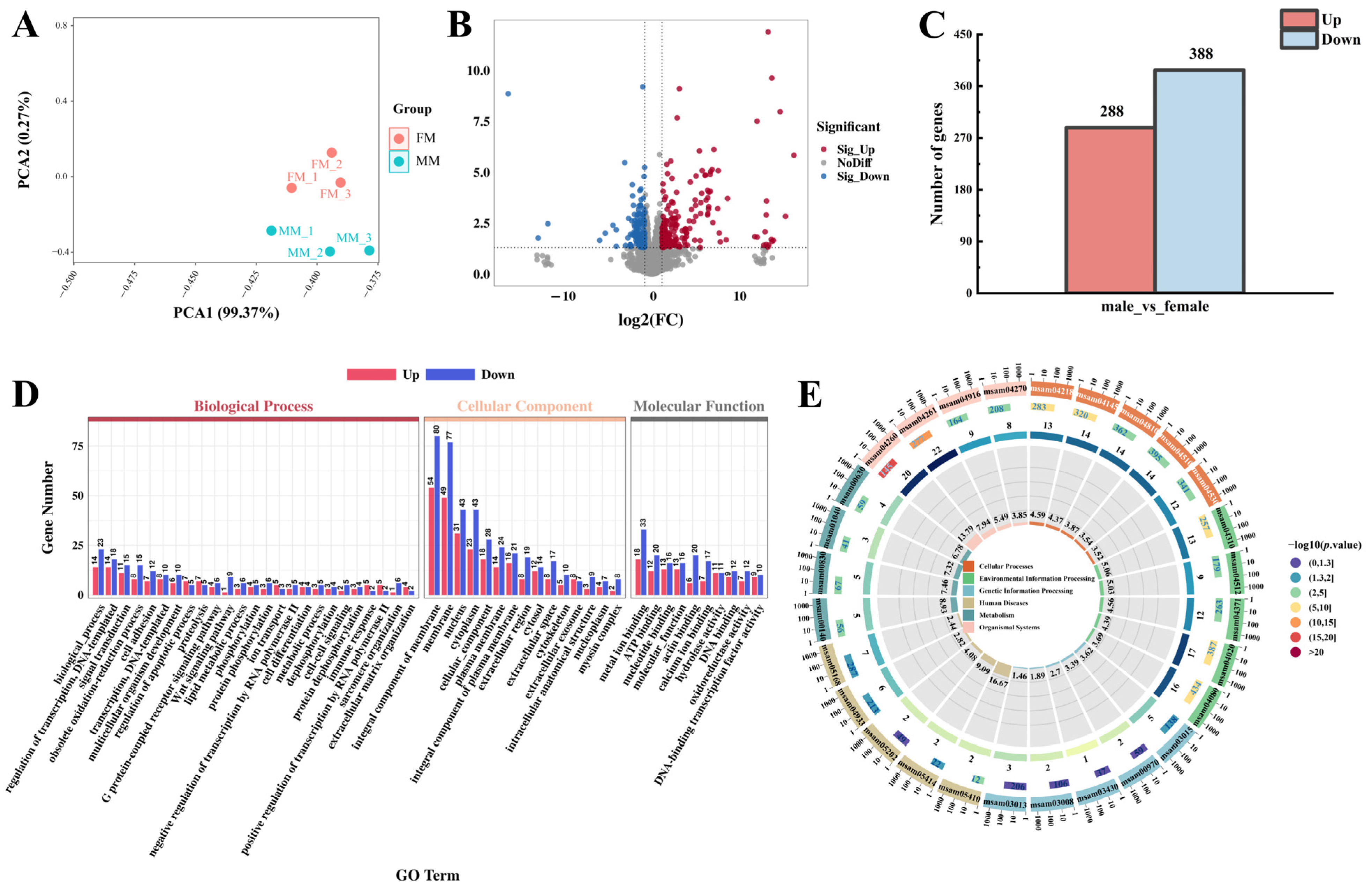 Biology 13 01029 g002 Biology 13 01029 g002