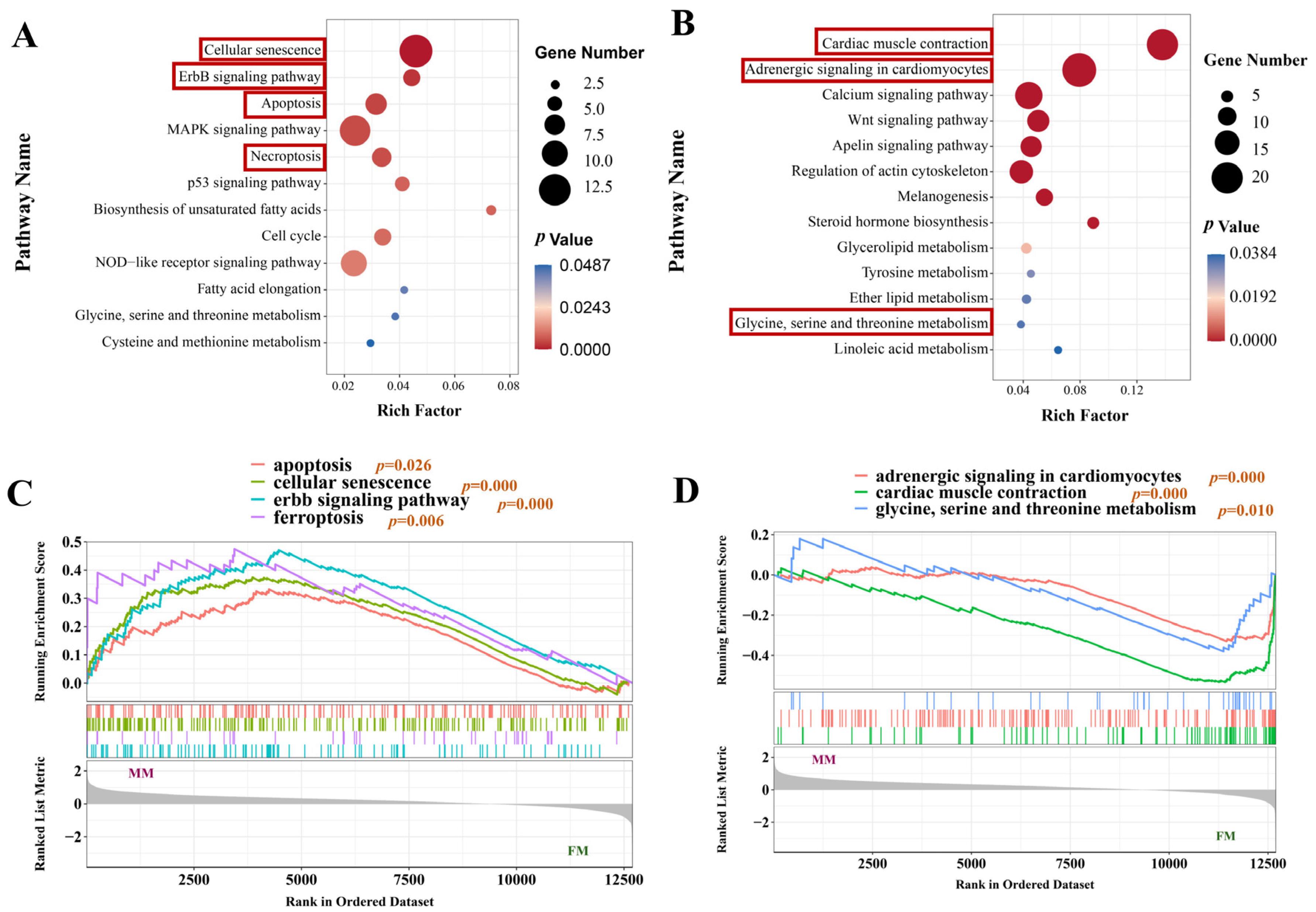 Biology 13 01029 g003 Biology 13 01029 g003