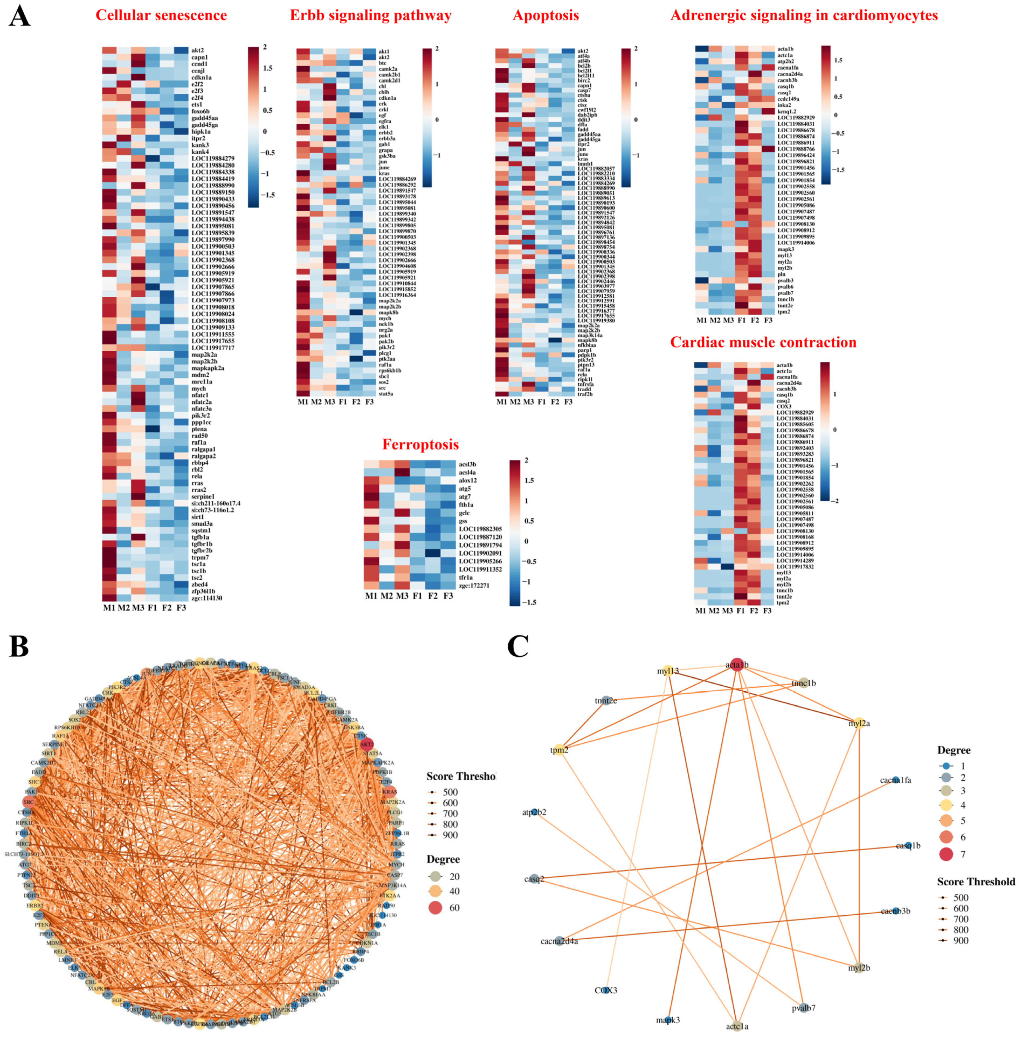 Biology 13 01029 g005 Biology 13 01029 g005