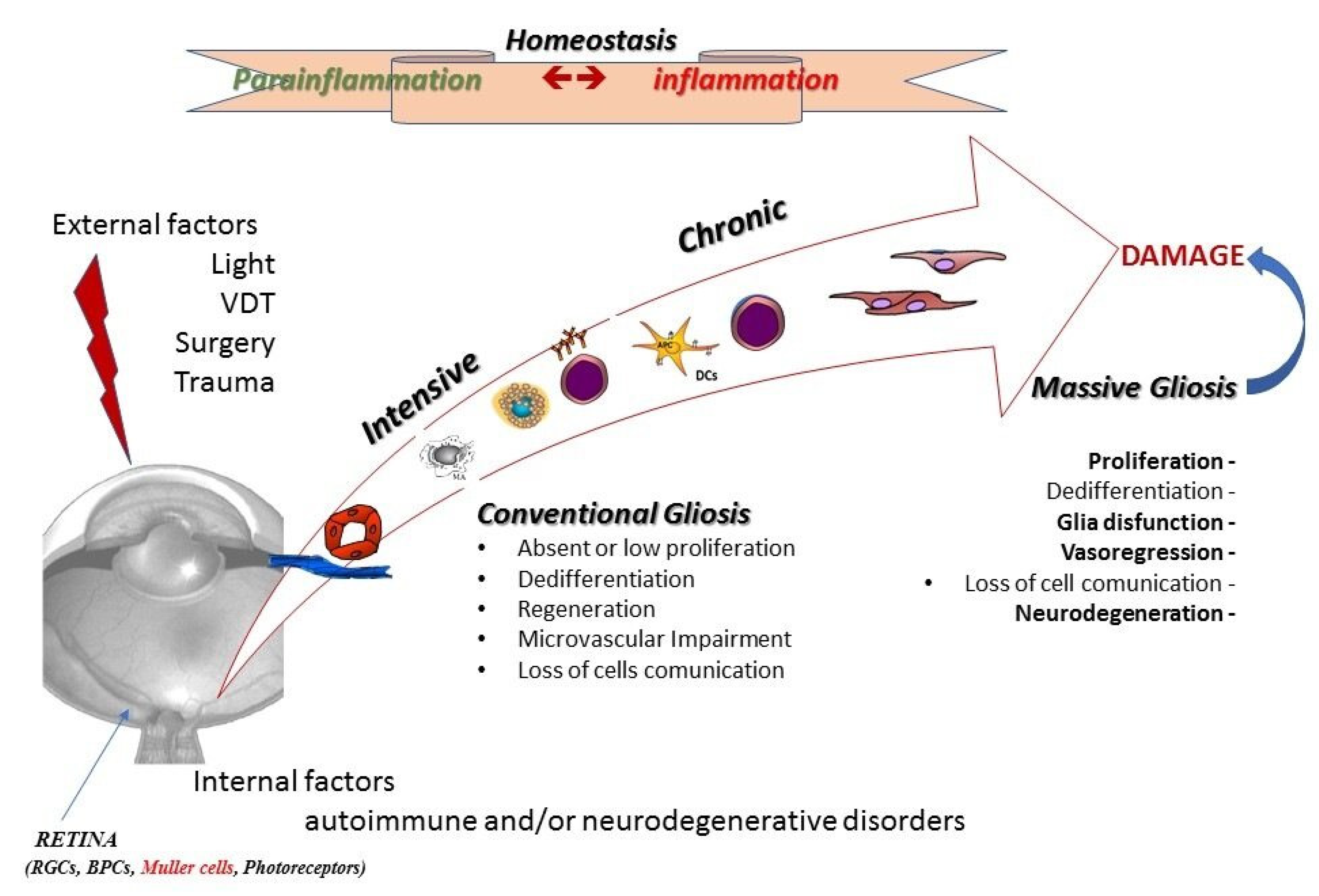 Biology 13 01030 g002 Biology 13 01030 g002