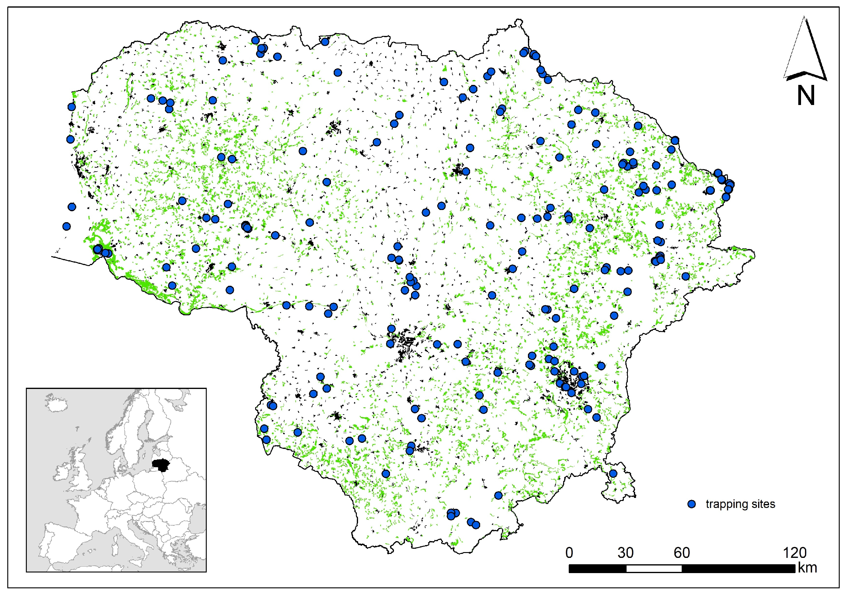Biology 13 01032 g001