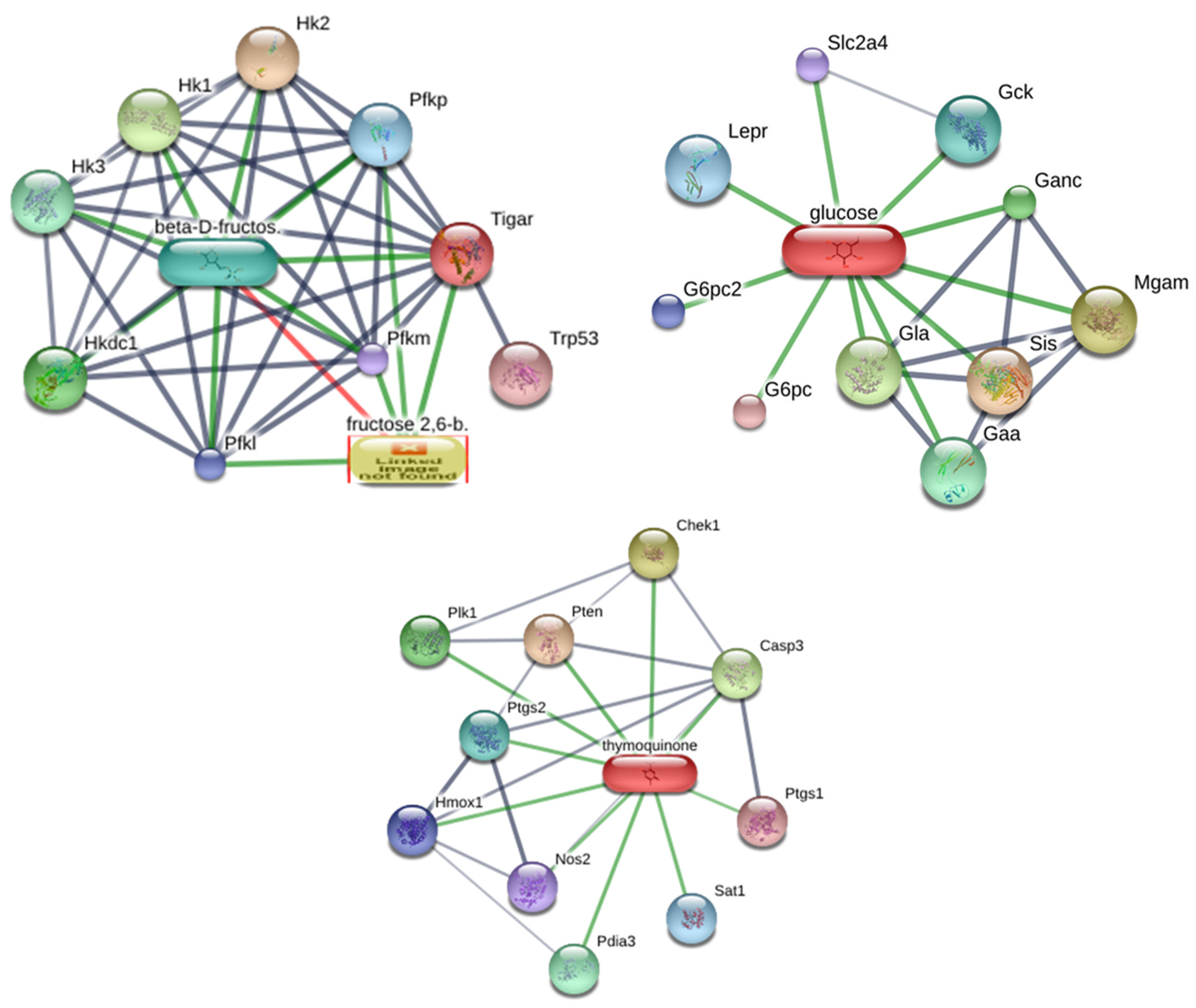 Biology 13 01035 g001