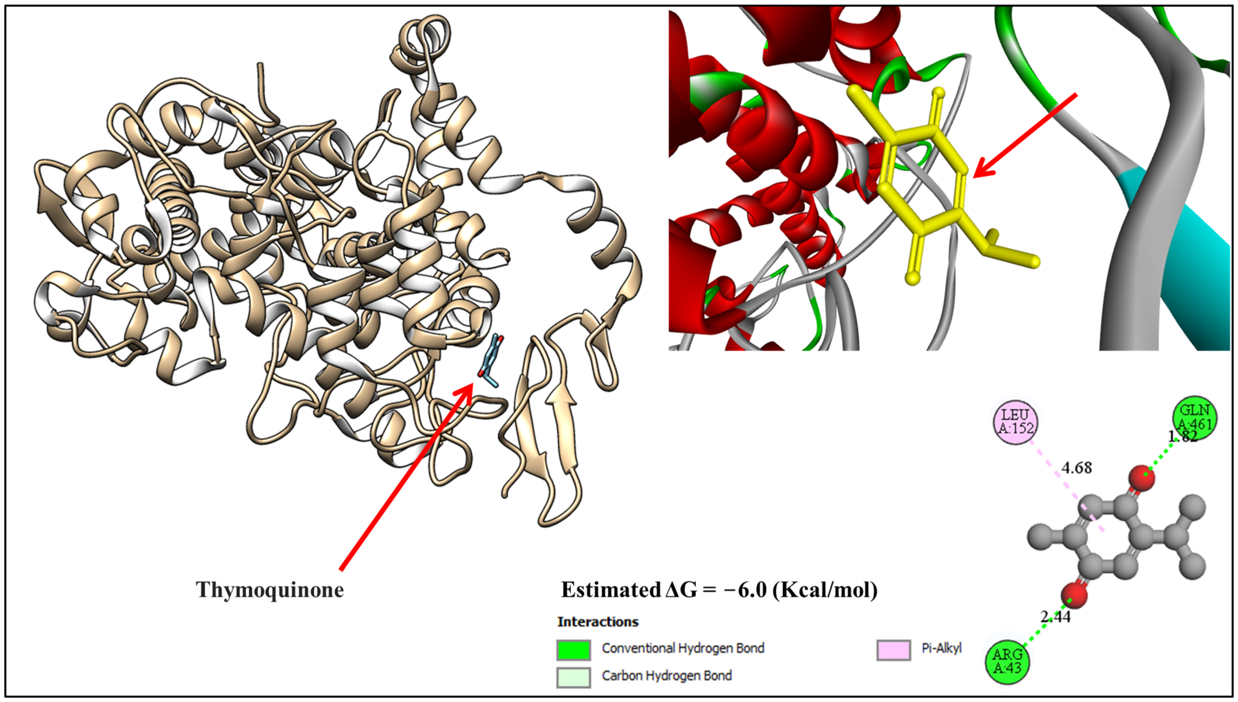 Biology 13 01035 g002