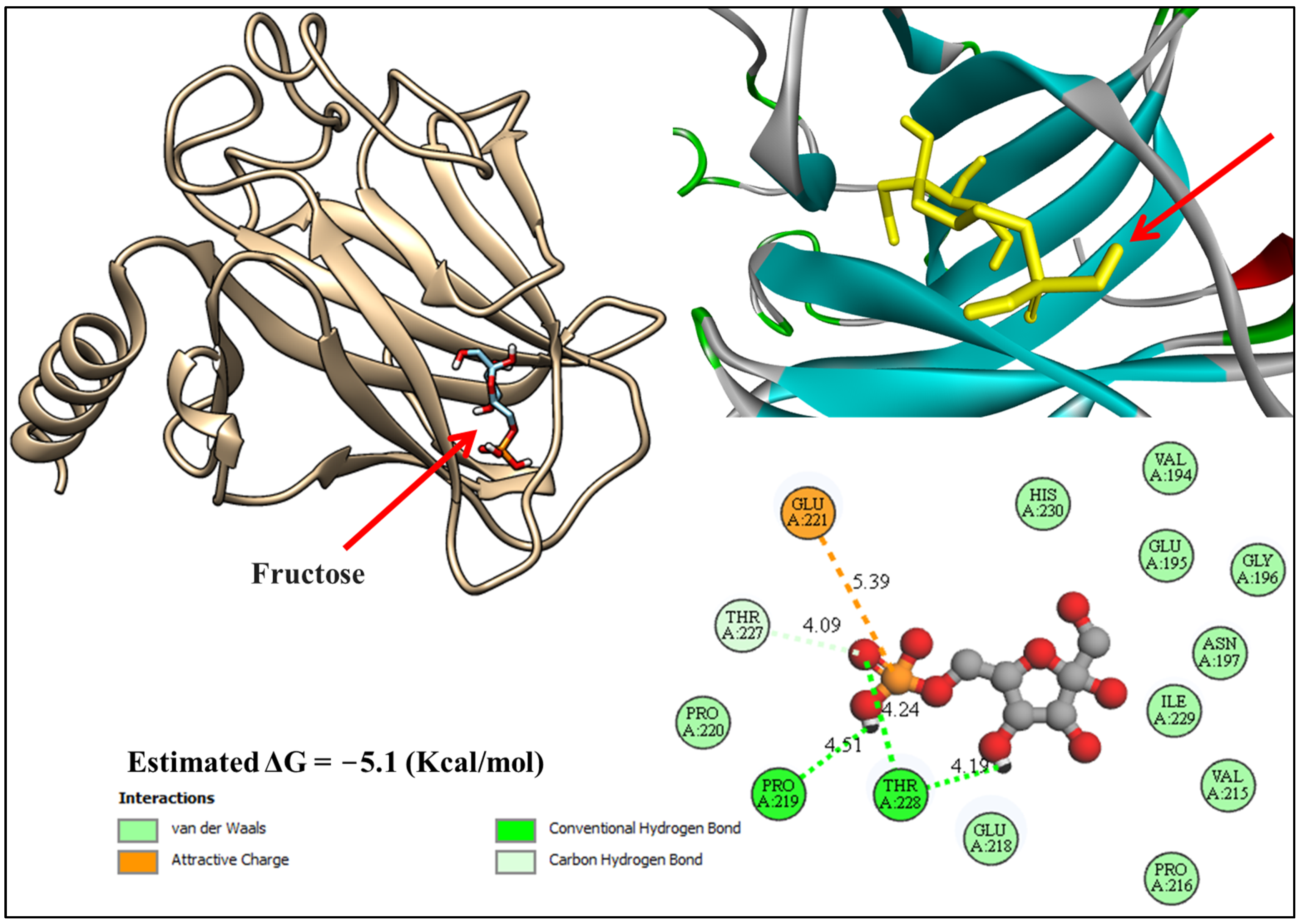 Biology 13 01035 g003