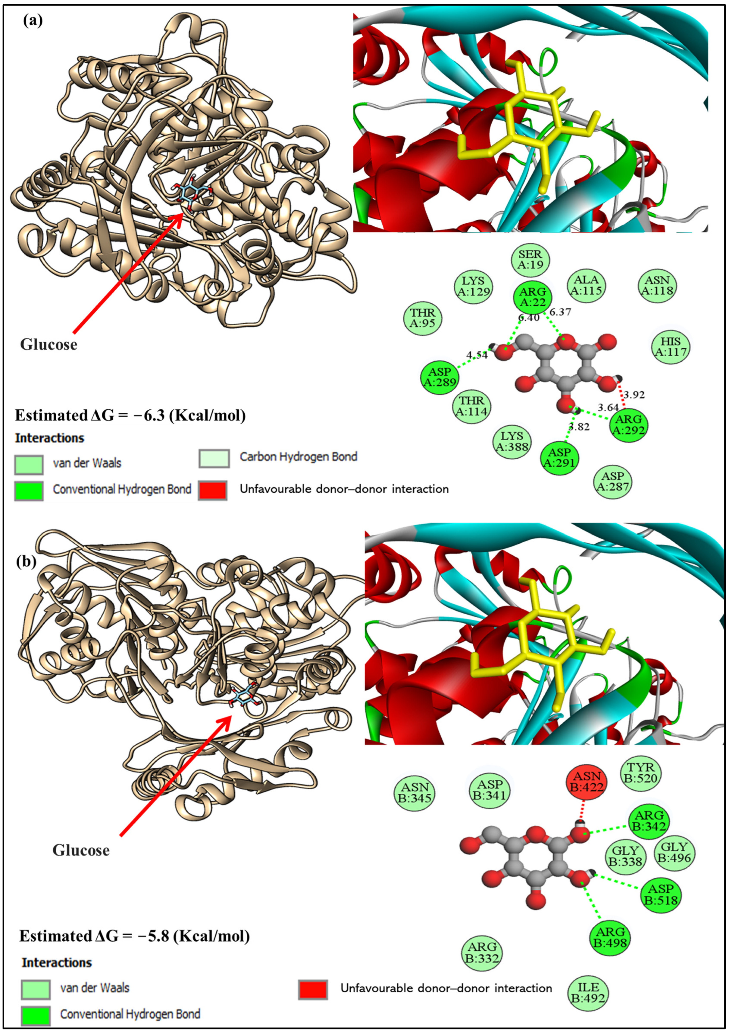 Biology 13 01035 g004