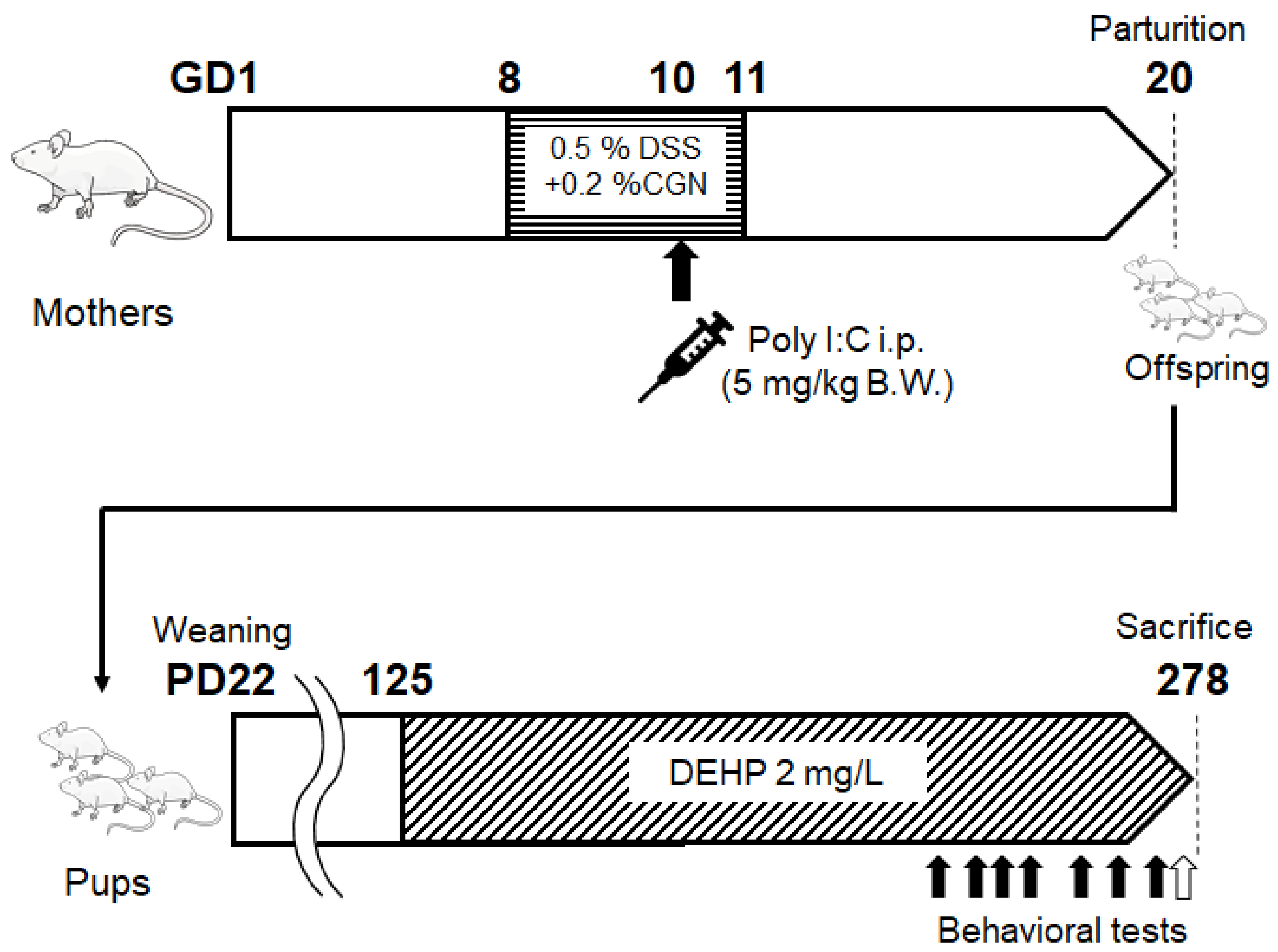 Biology 13 01039 g001