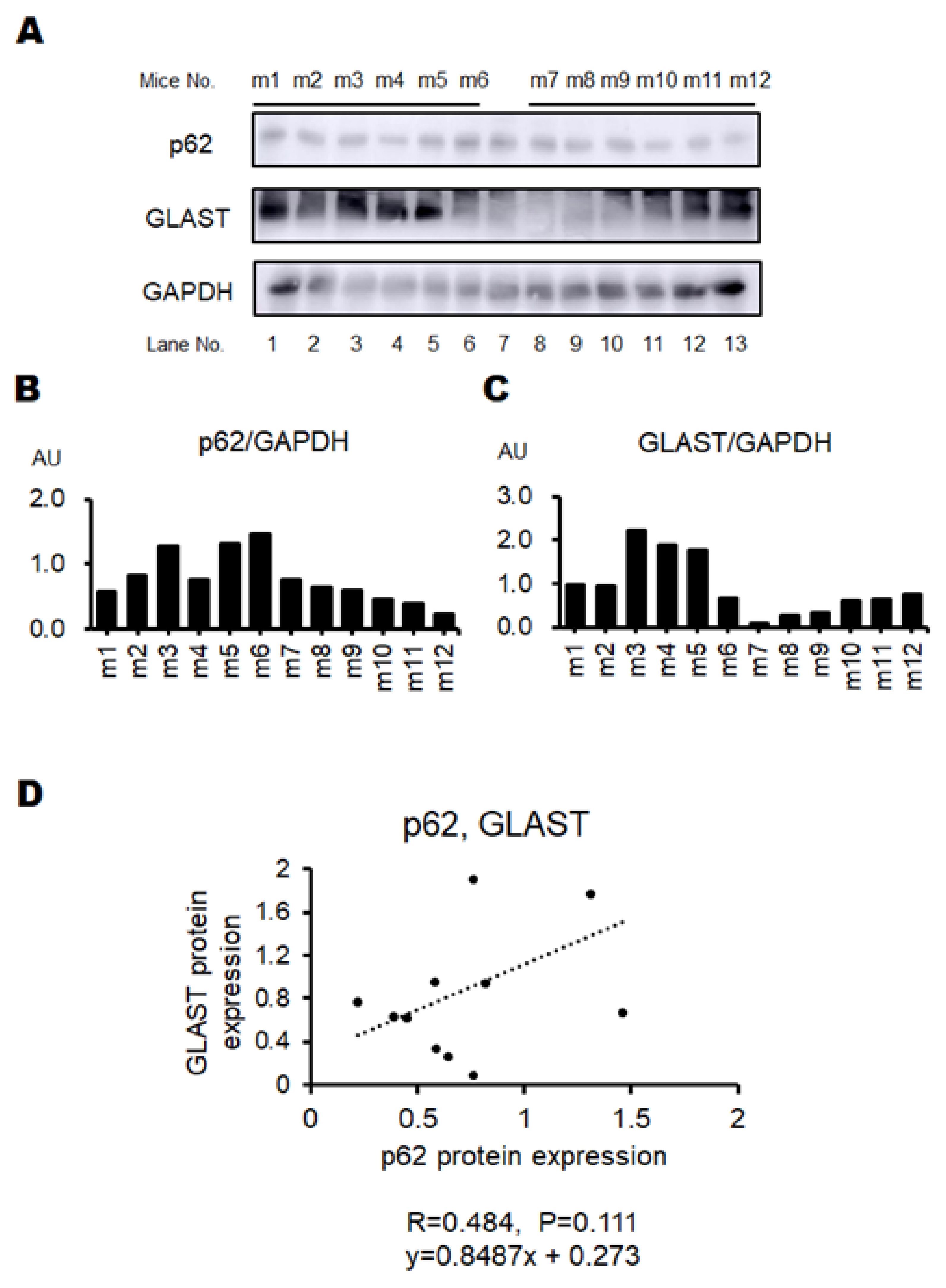 Biology 13 01039 g004