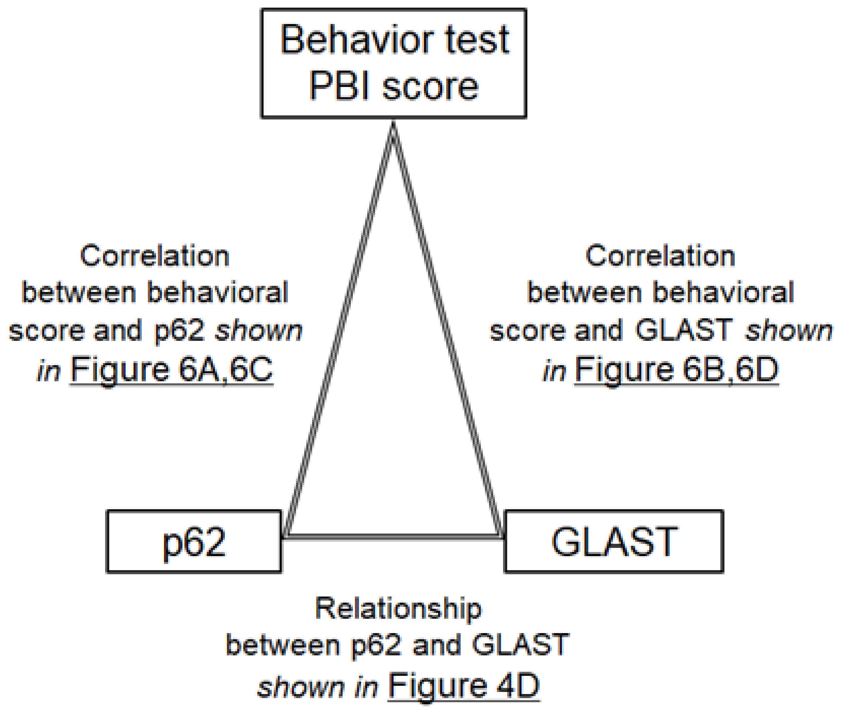 Biology 13 01039 g005