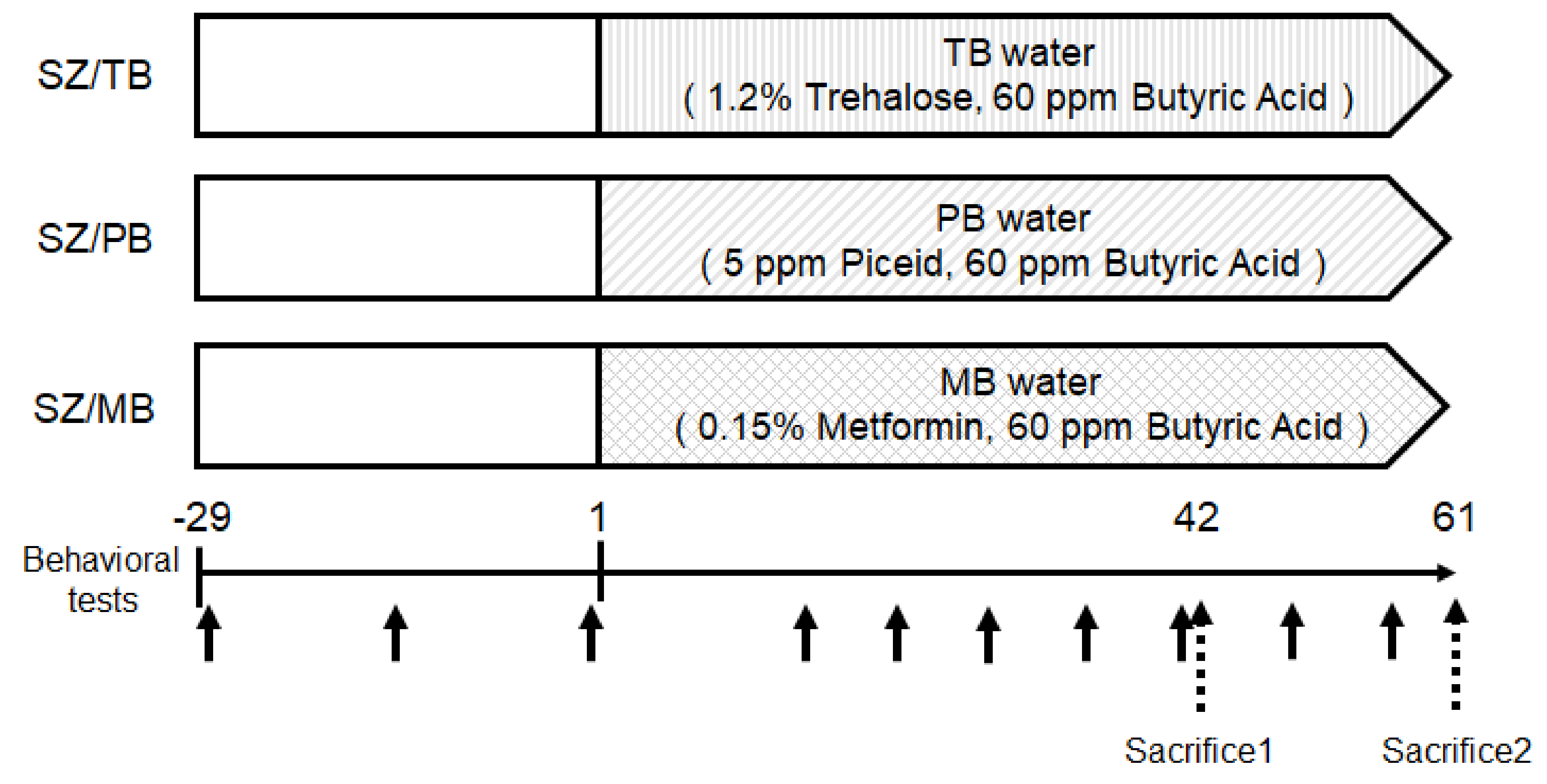Biology 13 01039 g007