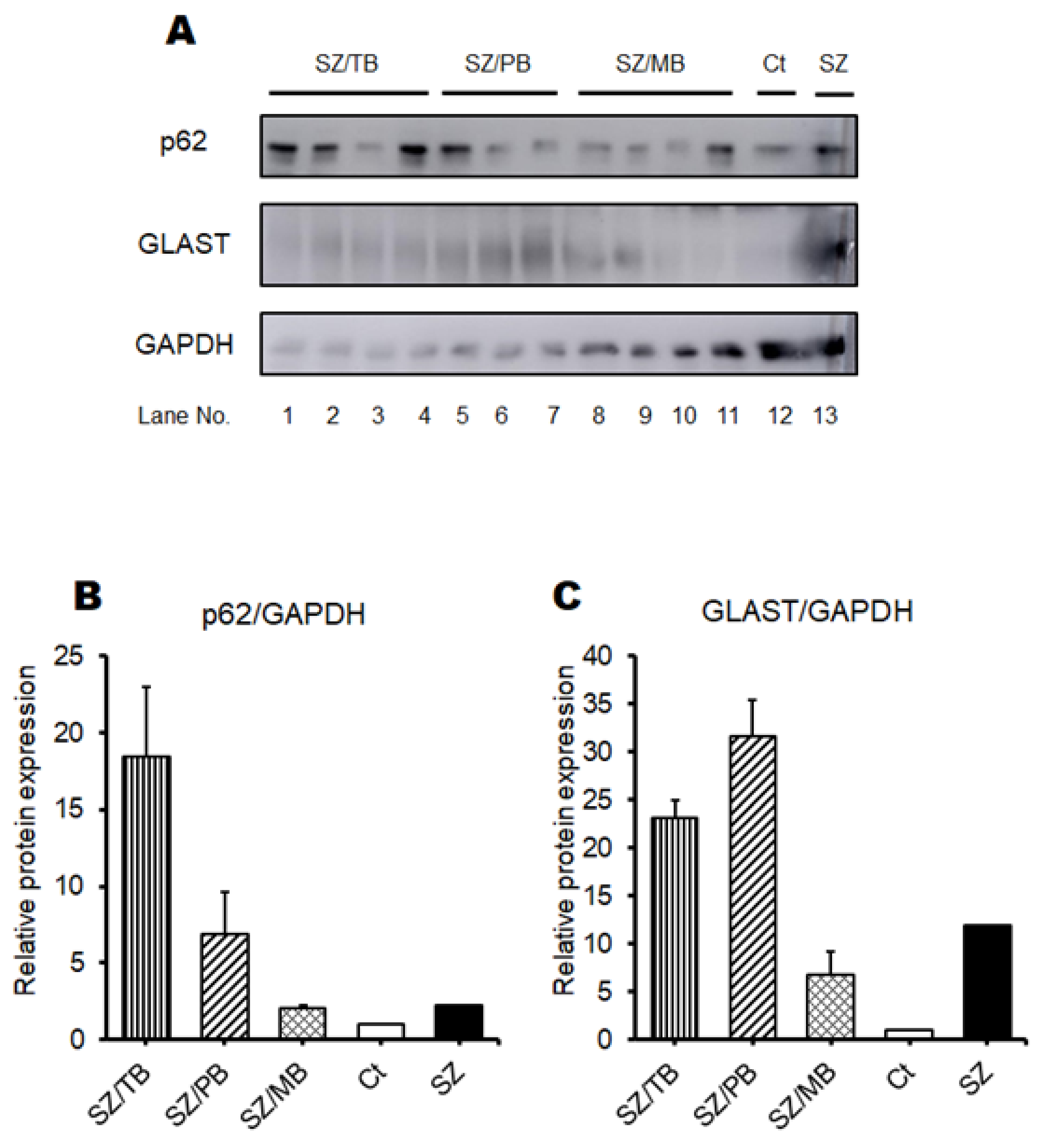 Biology 13 01039 g009