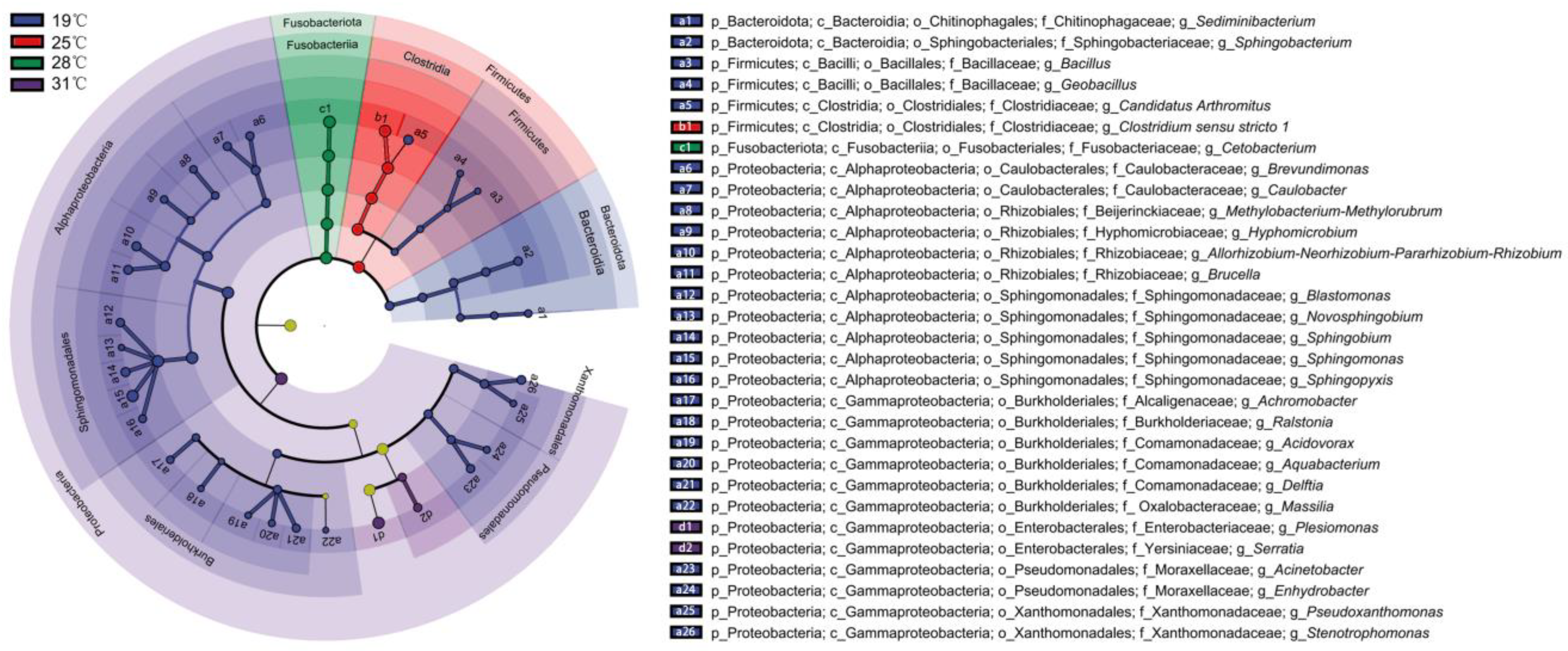 Biology 13 01045 g003