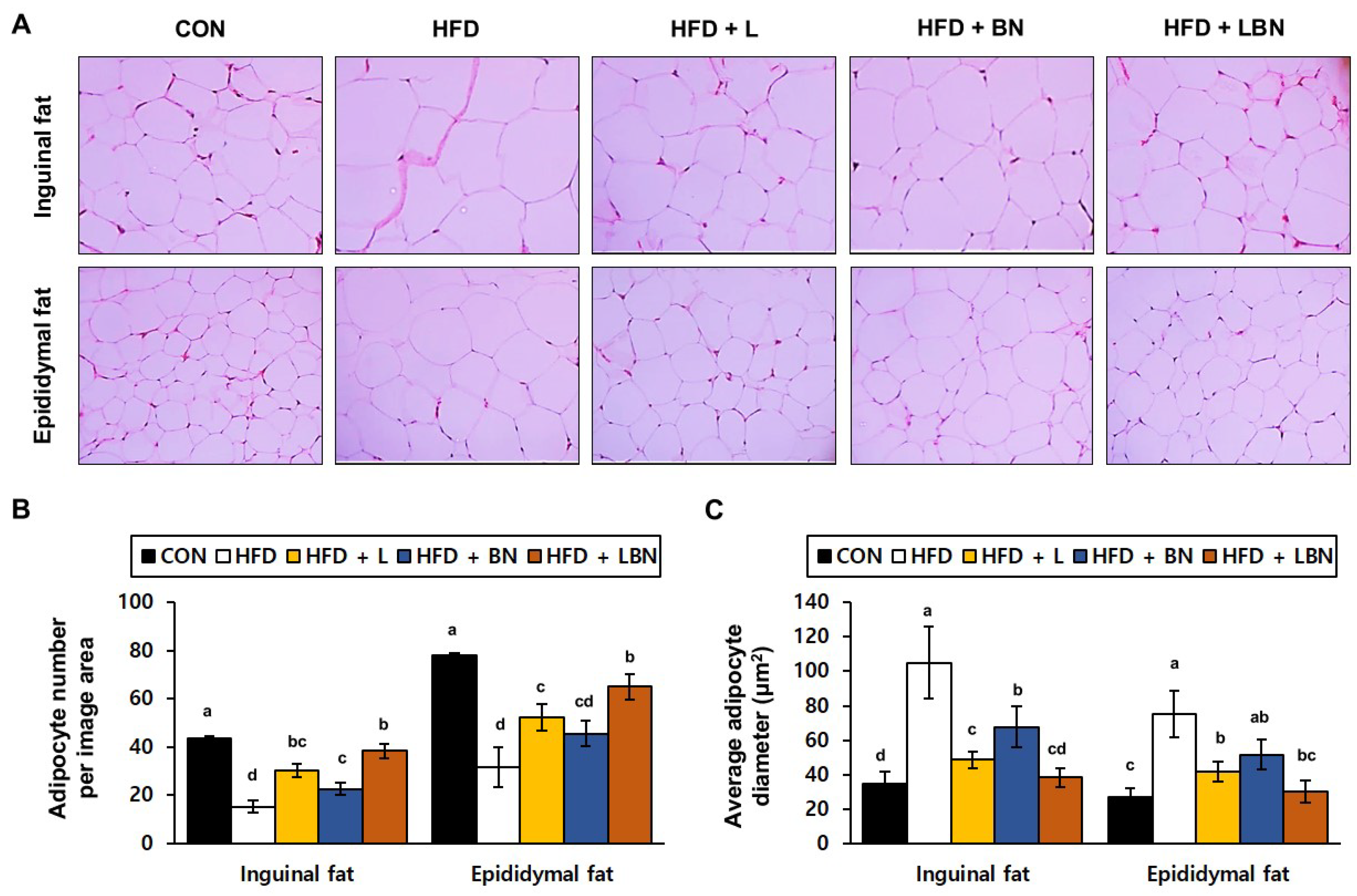 Biology 13 01047 g002