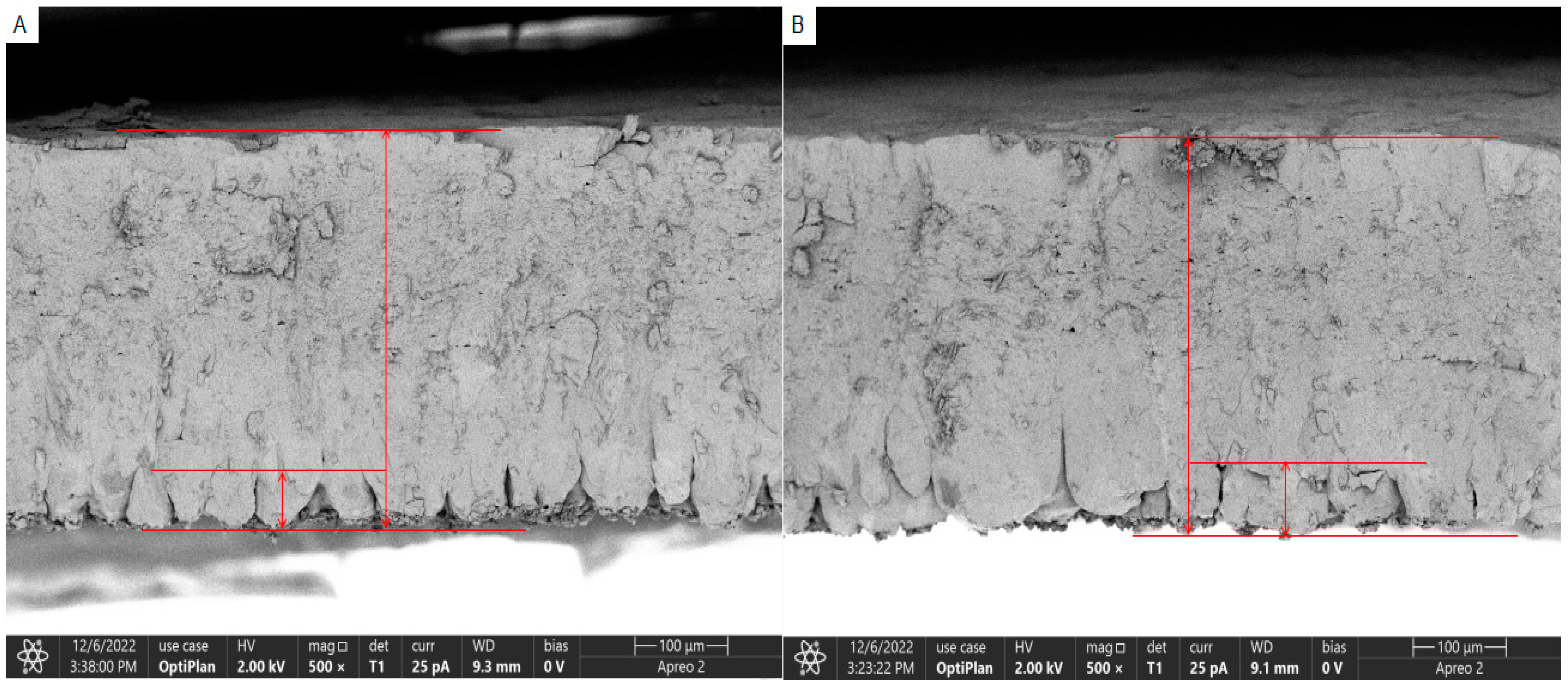 Biology 13 01048 g001