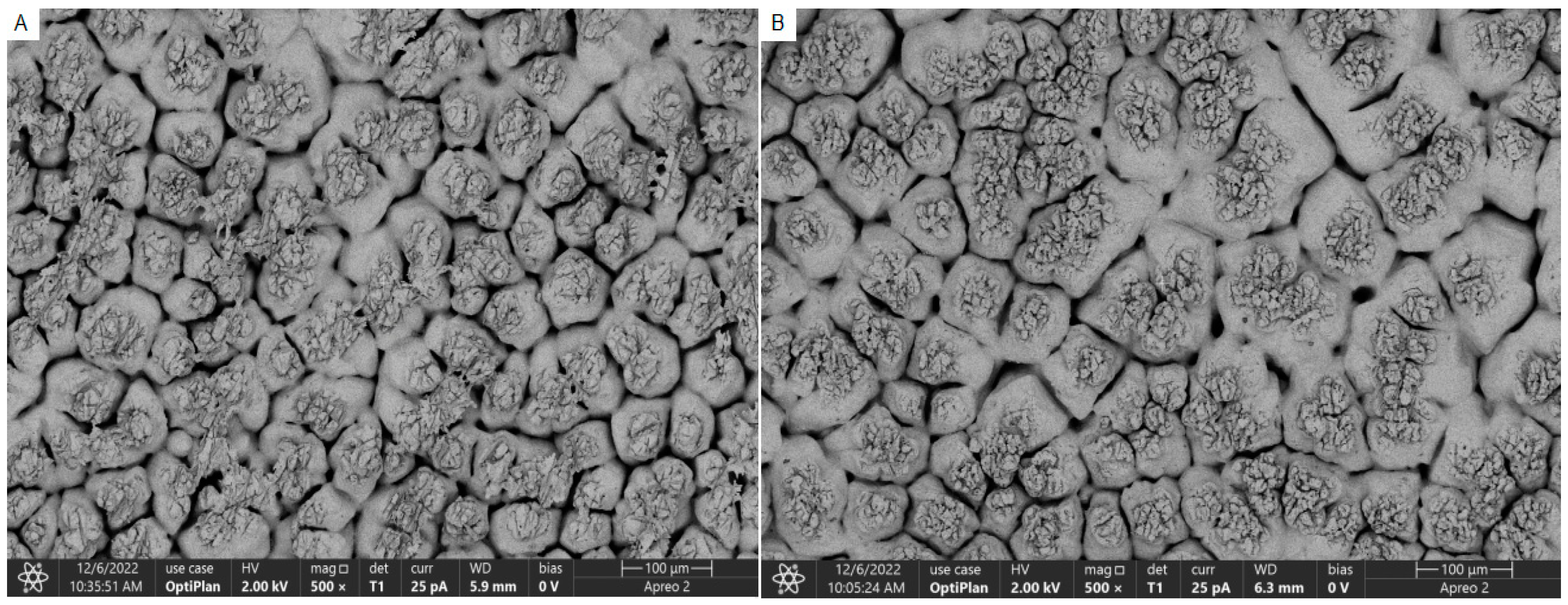 Biology 13 01048 g002