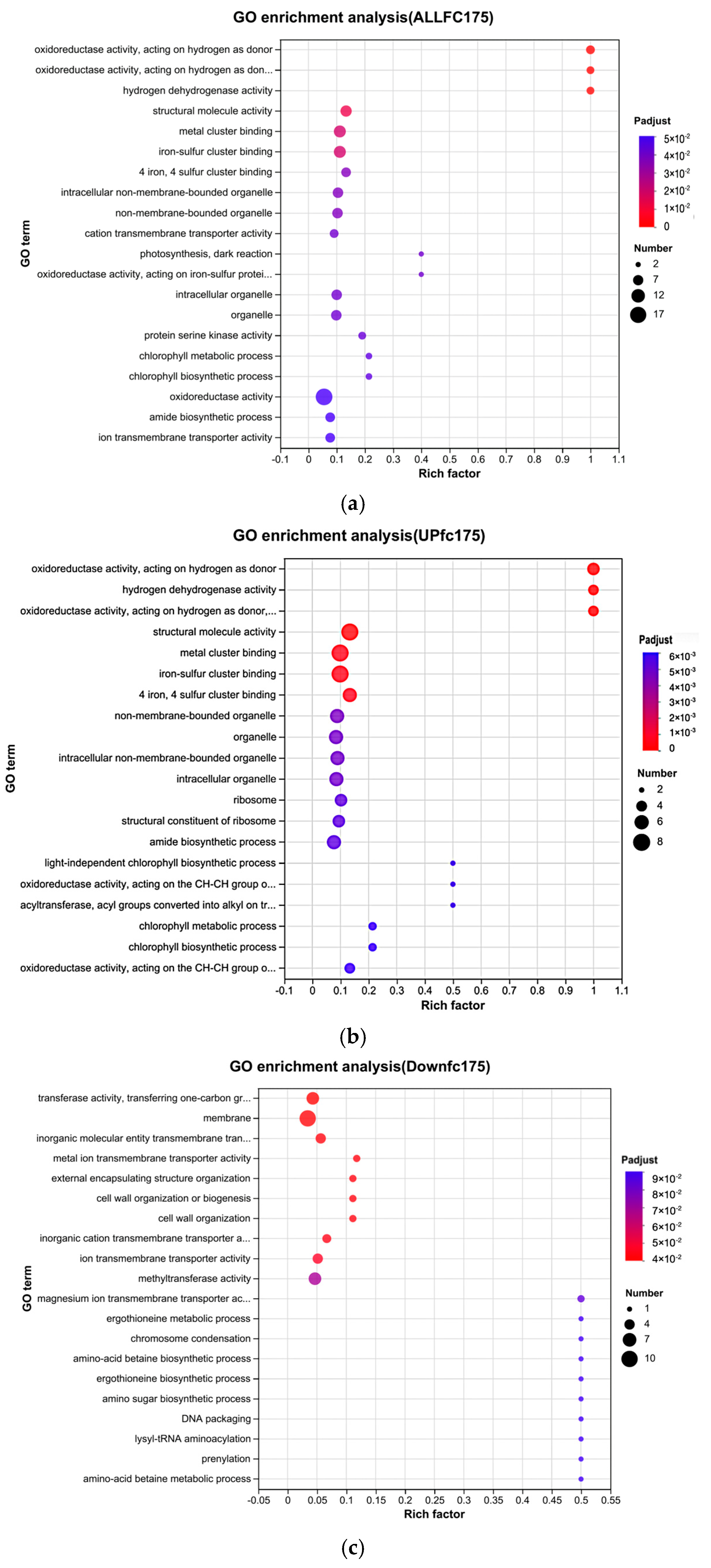 Biology 13 01049 g006