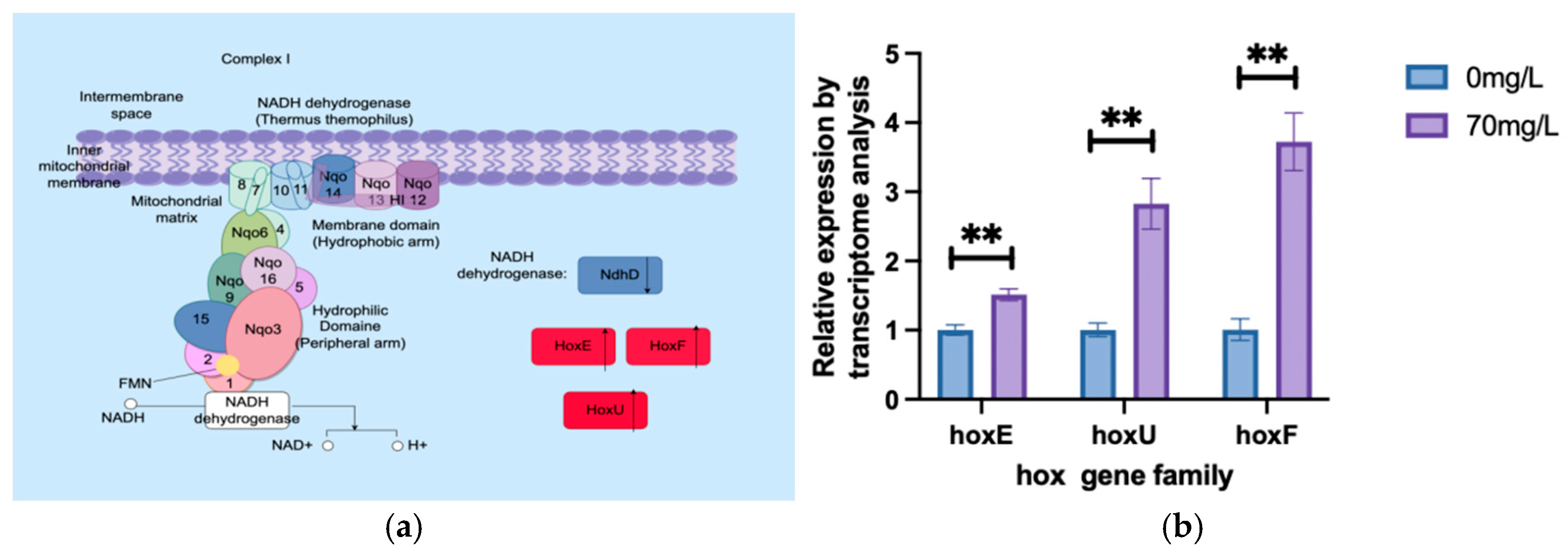 Biology 13 01049 g007