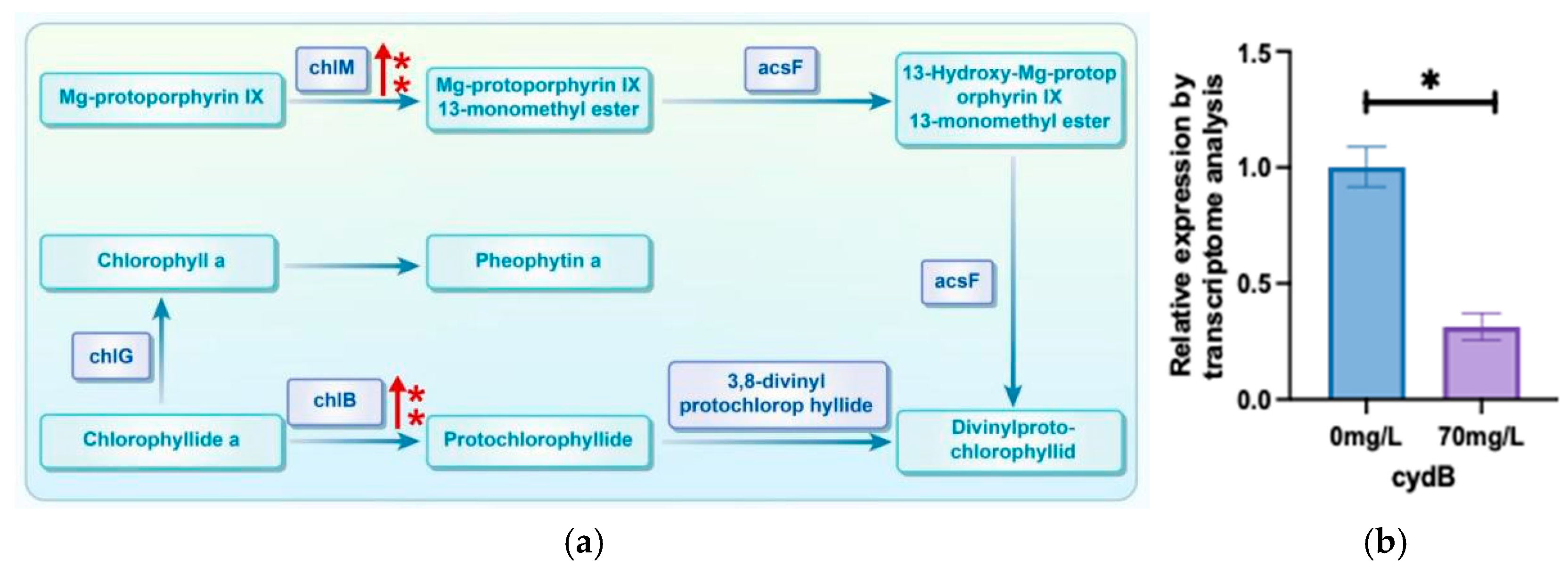 Biology 13 01049 g008