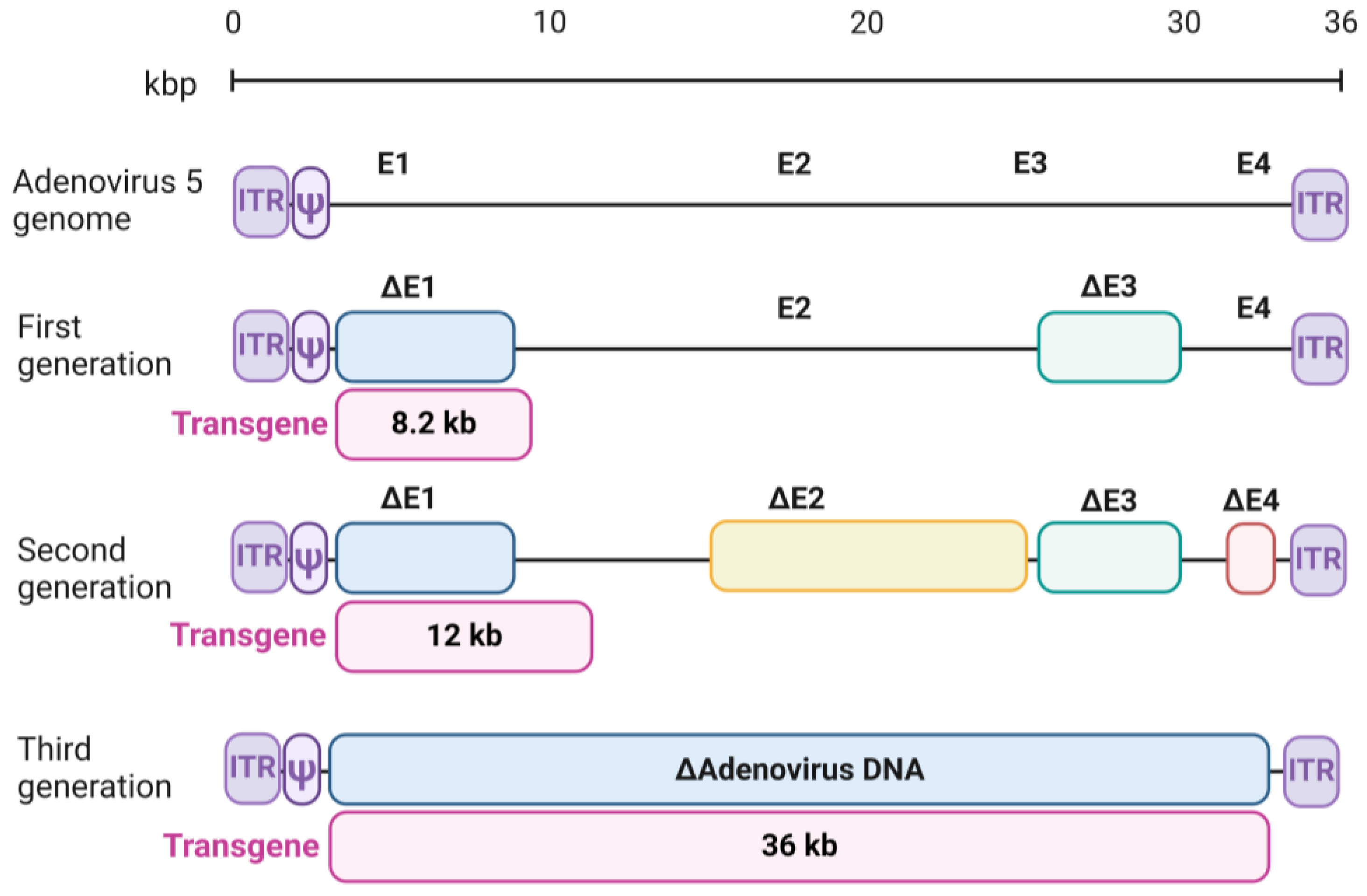 Biology 13 01052 g004