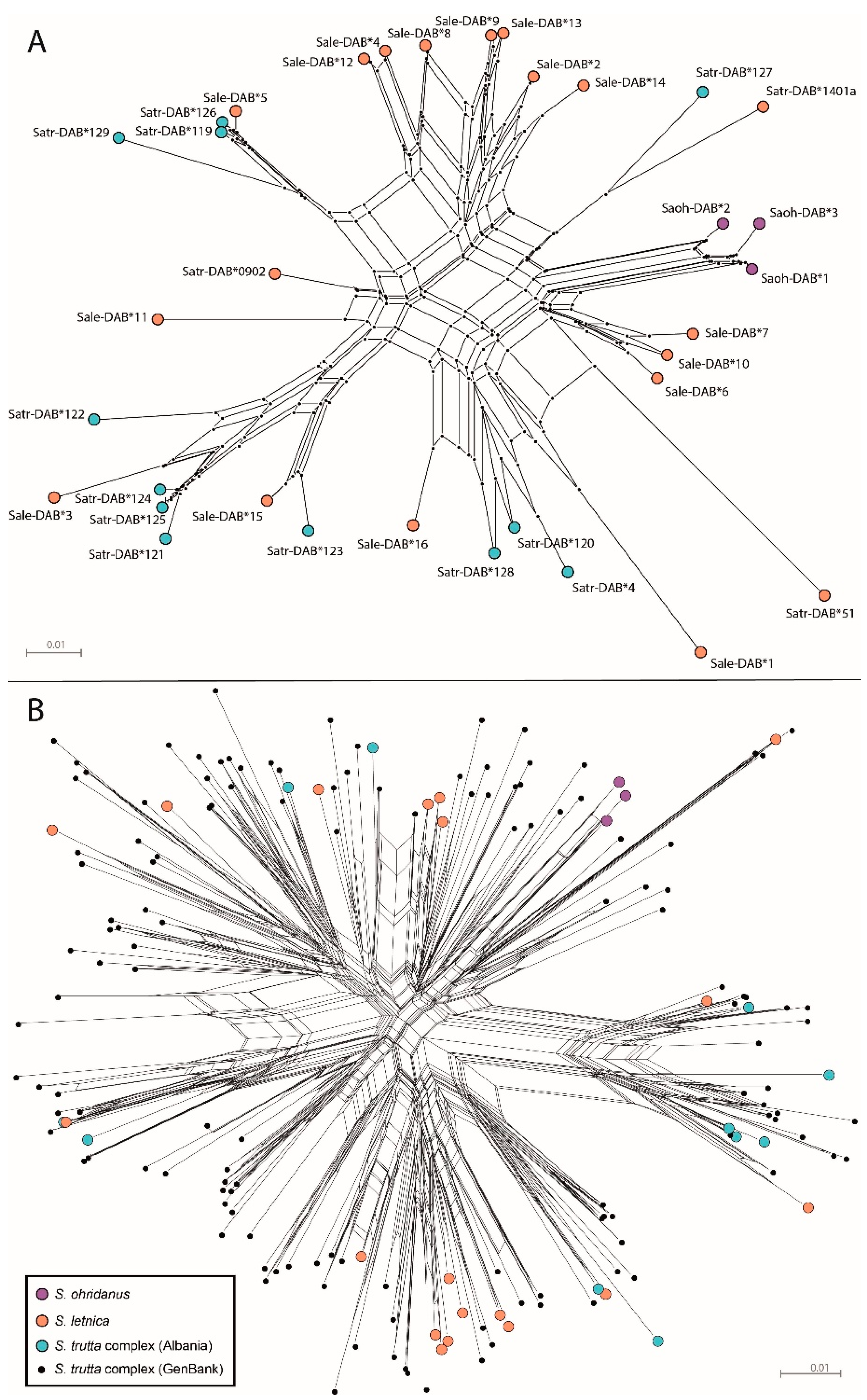 Biology 13 01060 g001