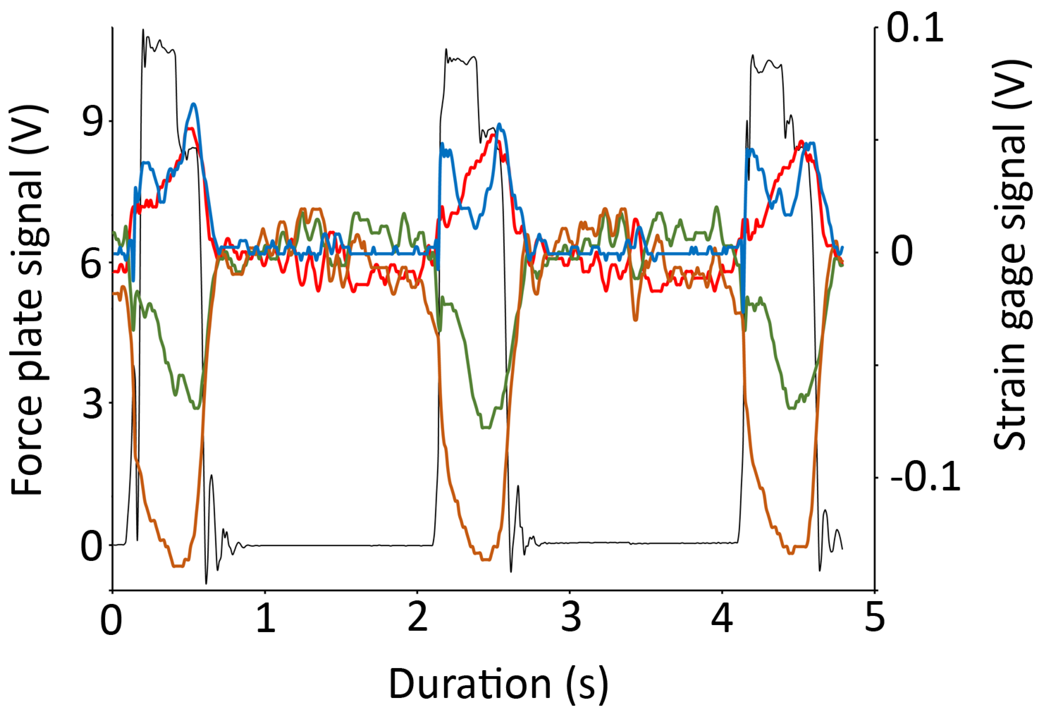 Biology 13 01062 g003