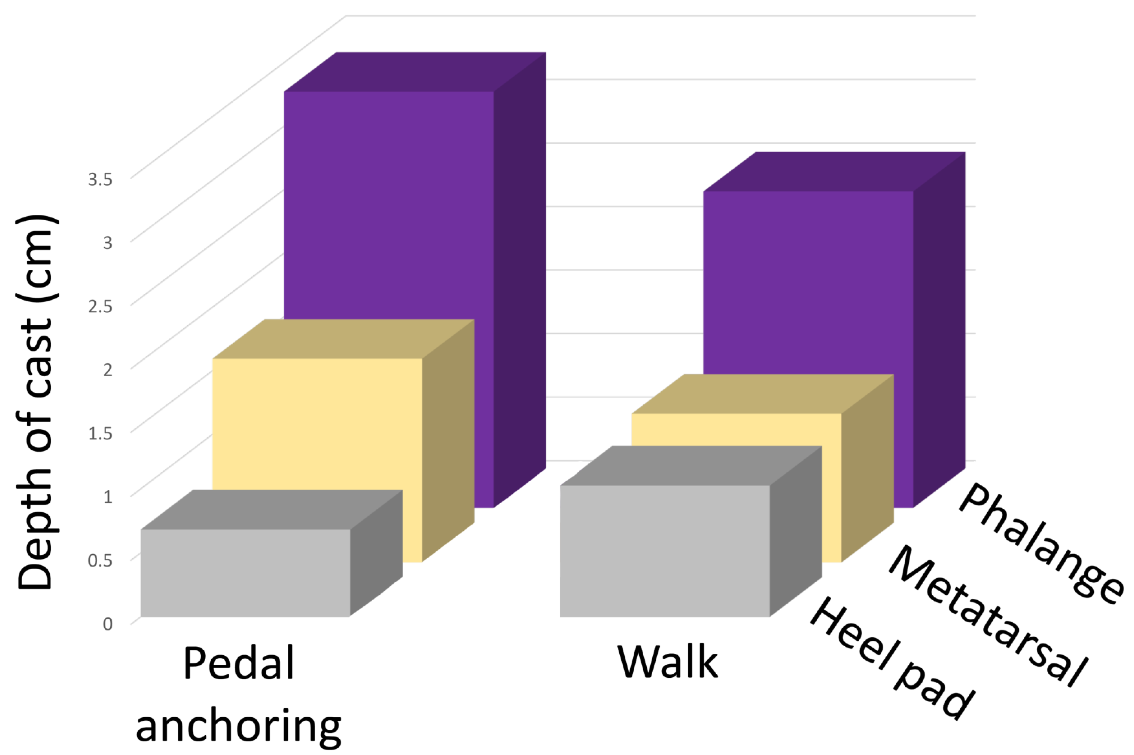 Biology 13 01062 g010