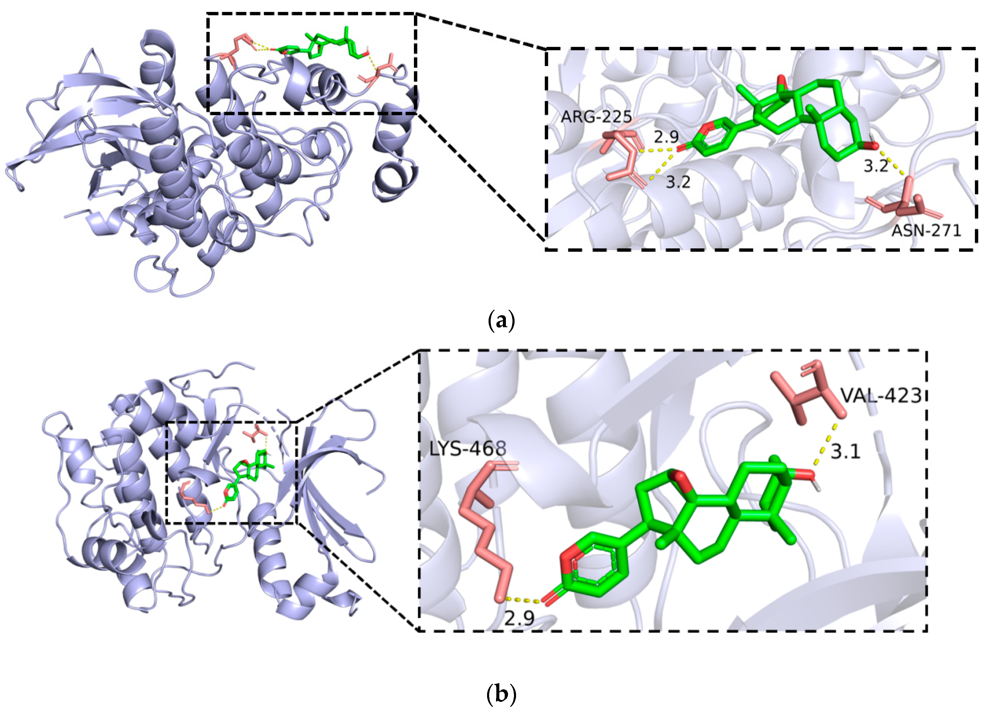 Biology 13 01064 g007