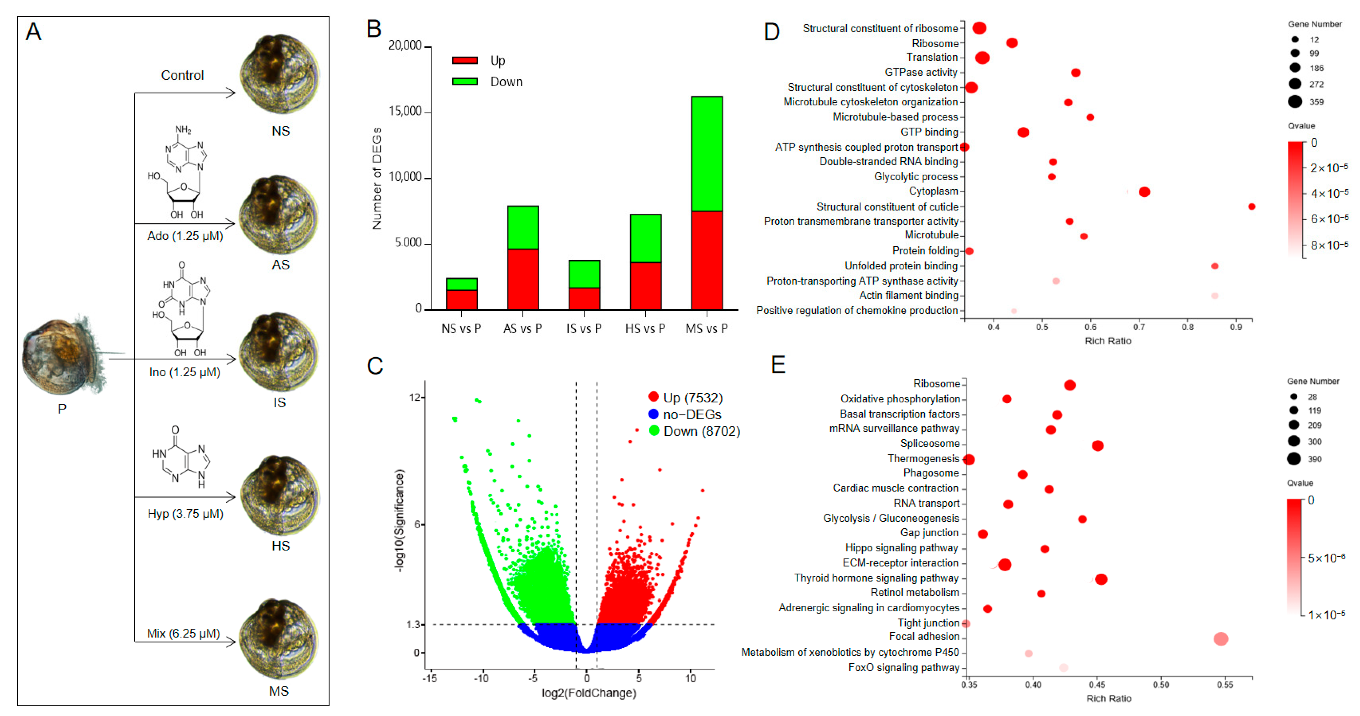 Biology 13 01067 g002