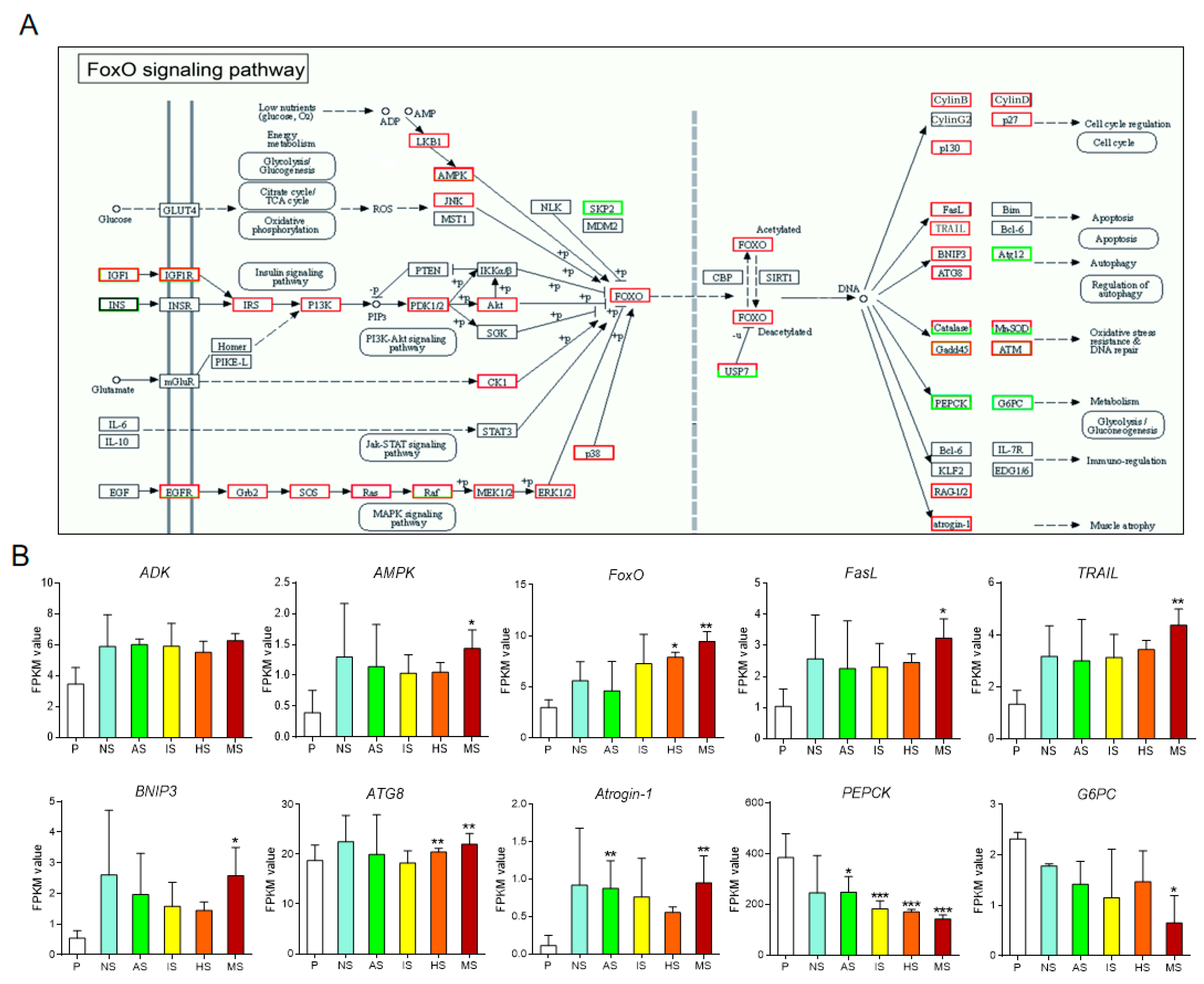 Biology 13 01067 g003