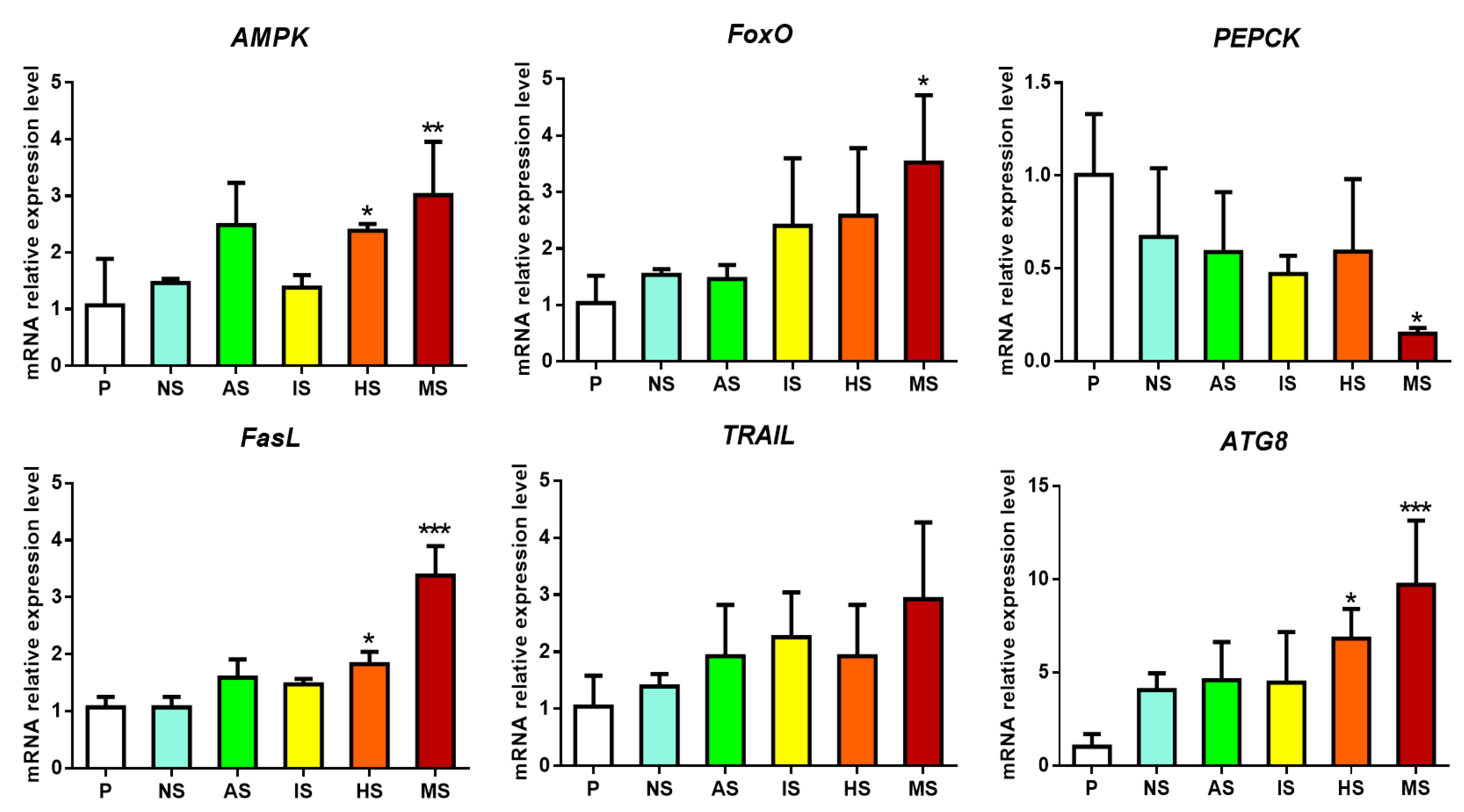 Biology 13 01067 g004