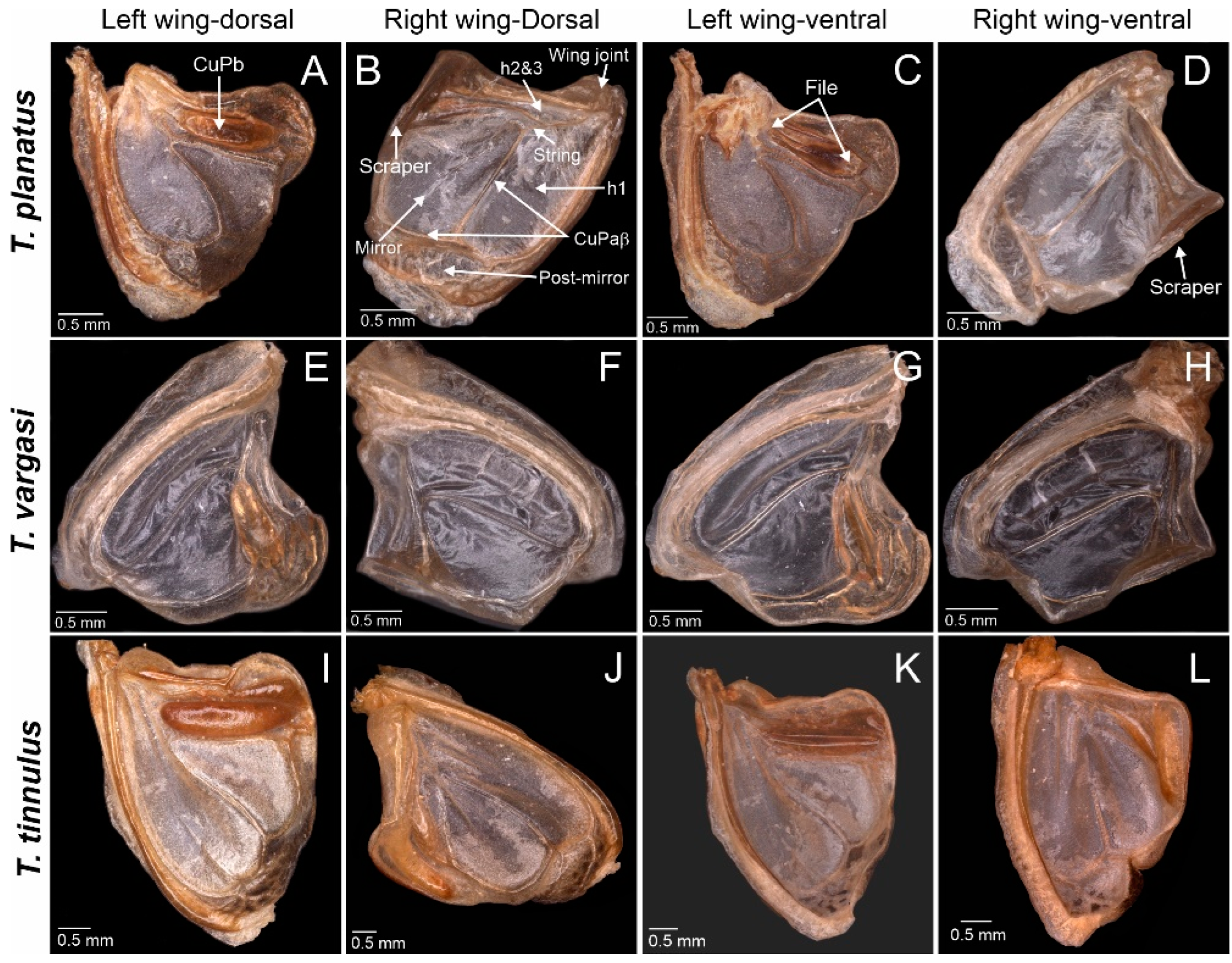 Biology 13 01071 g002