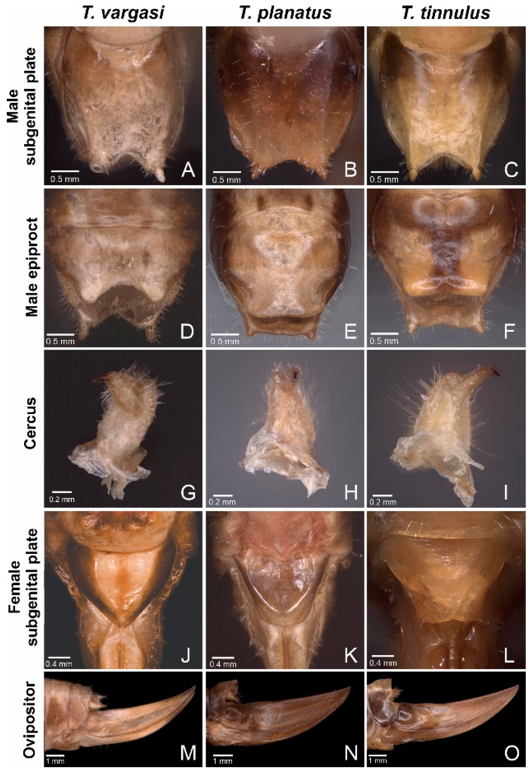 Biology 13 01071 g003