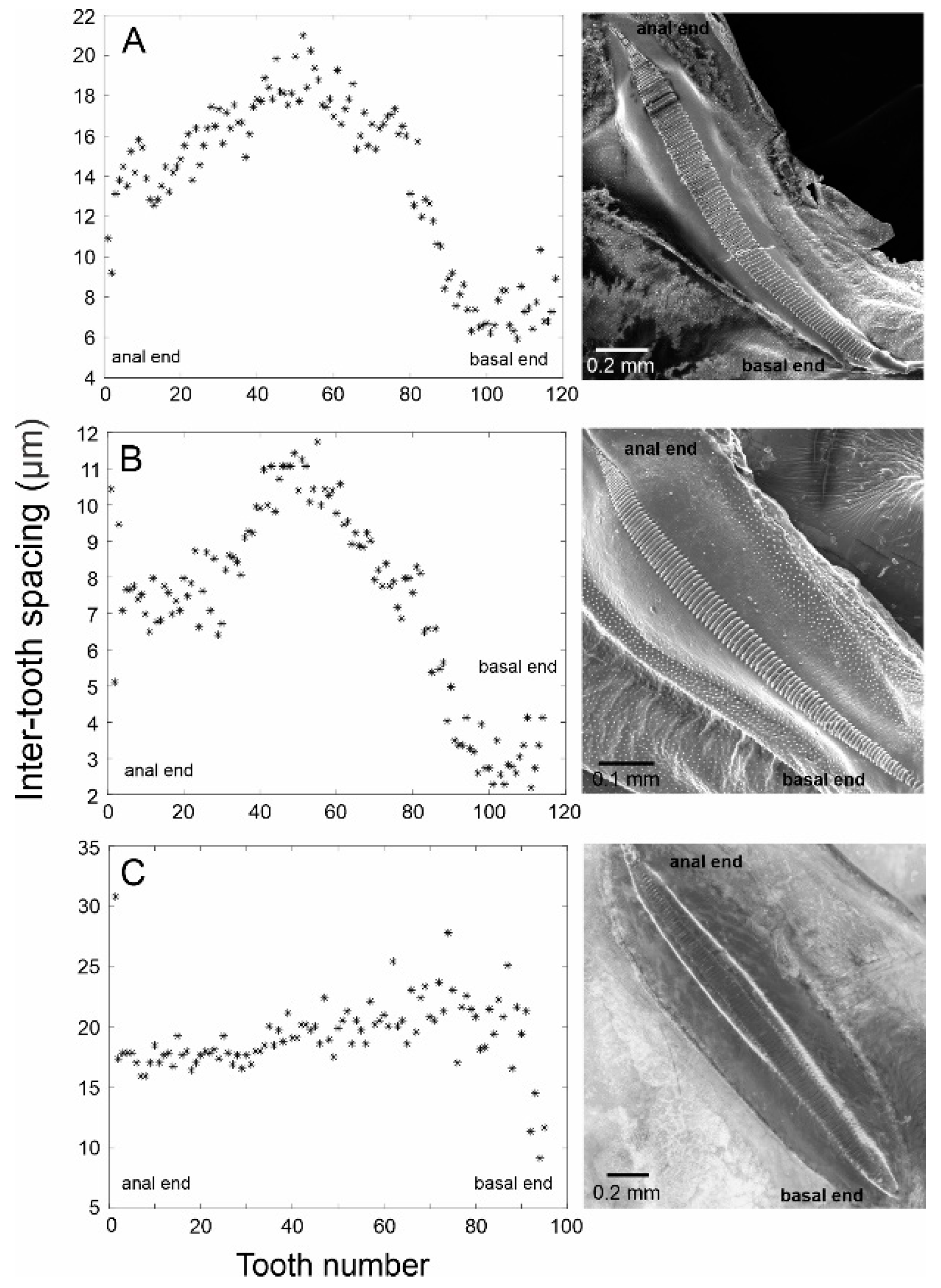 Biology 13 01071 g004