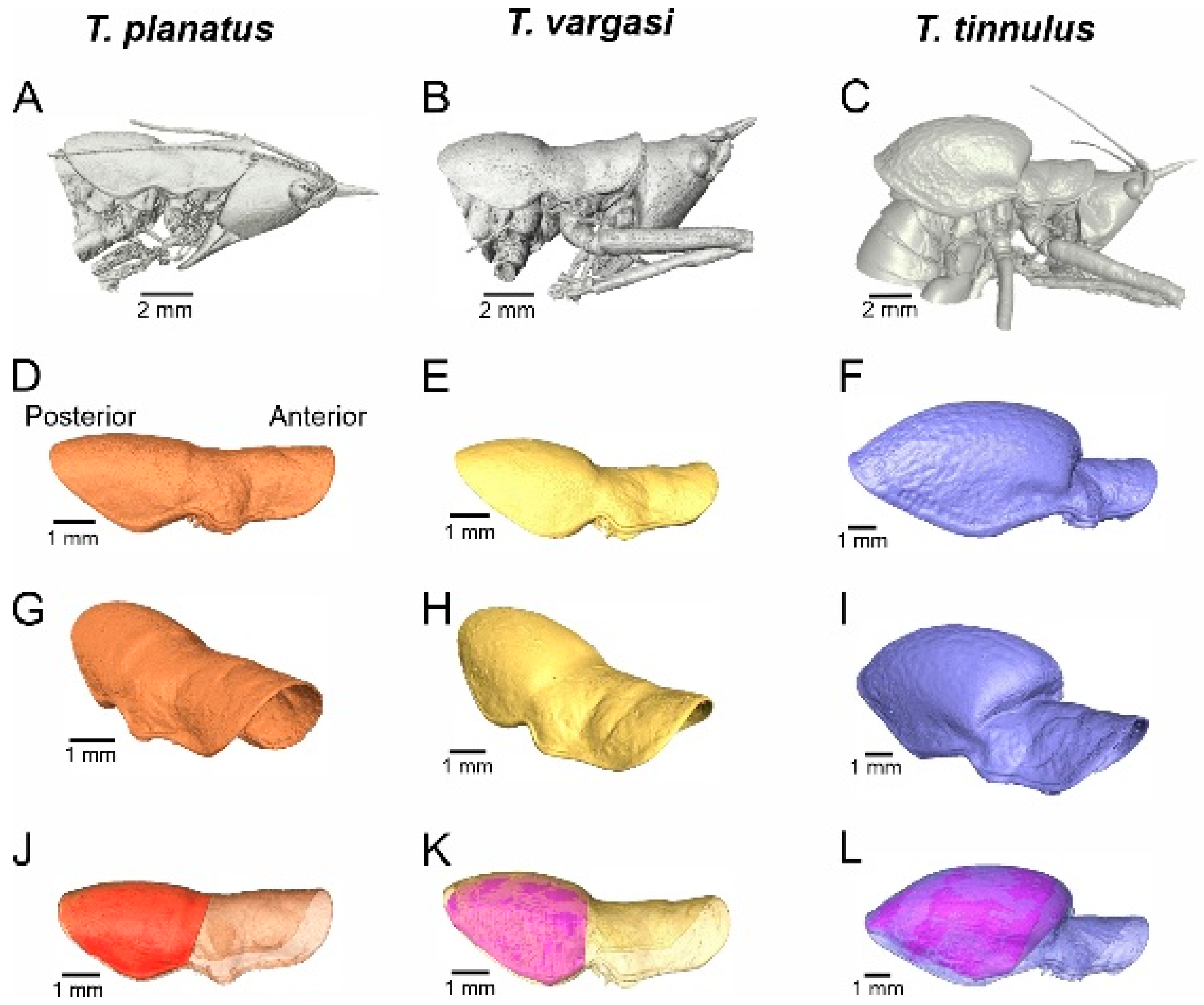 Biology 13 01071 g006