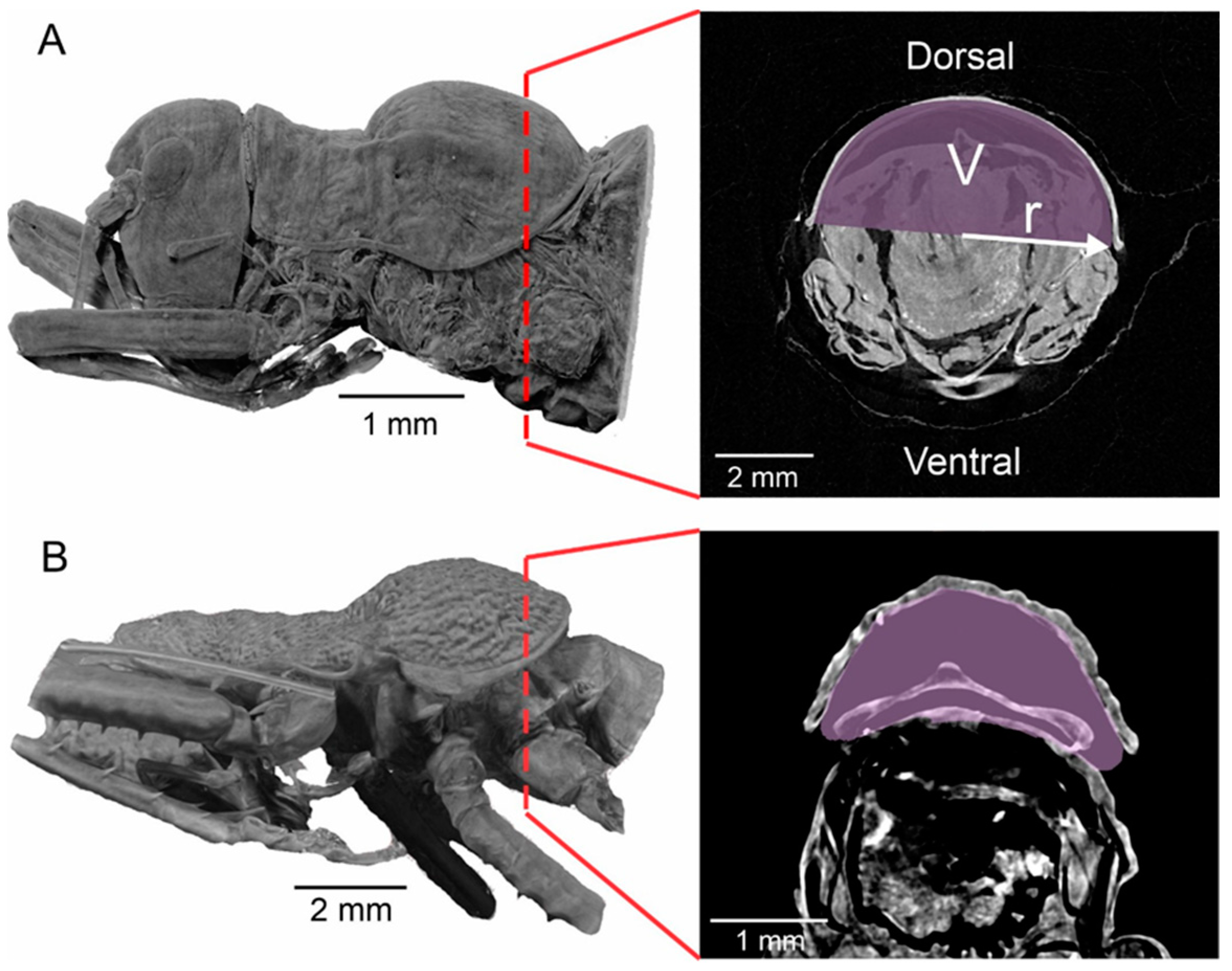 Biology 13 01071 g008