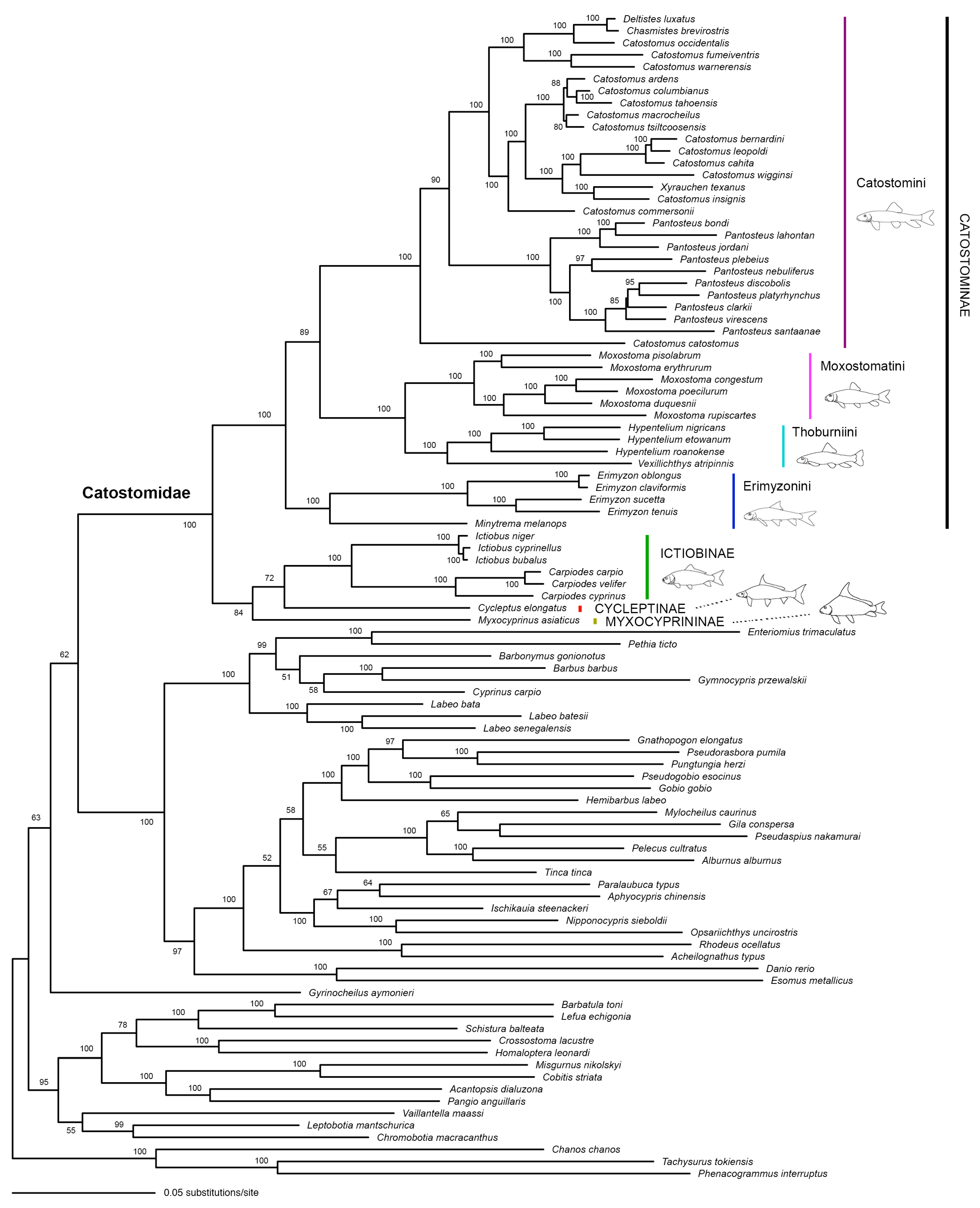 Biology 13 01072 g001 Biology 13 01072 g001