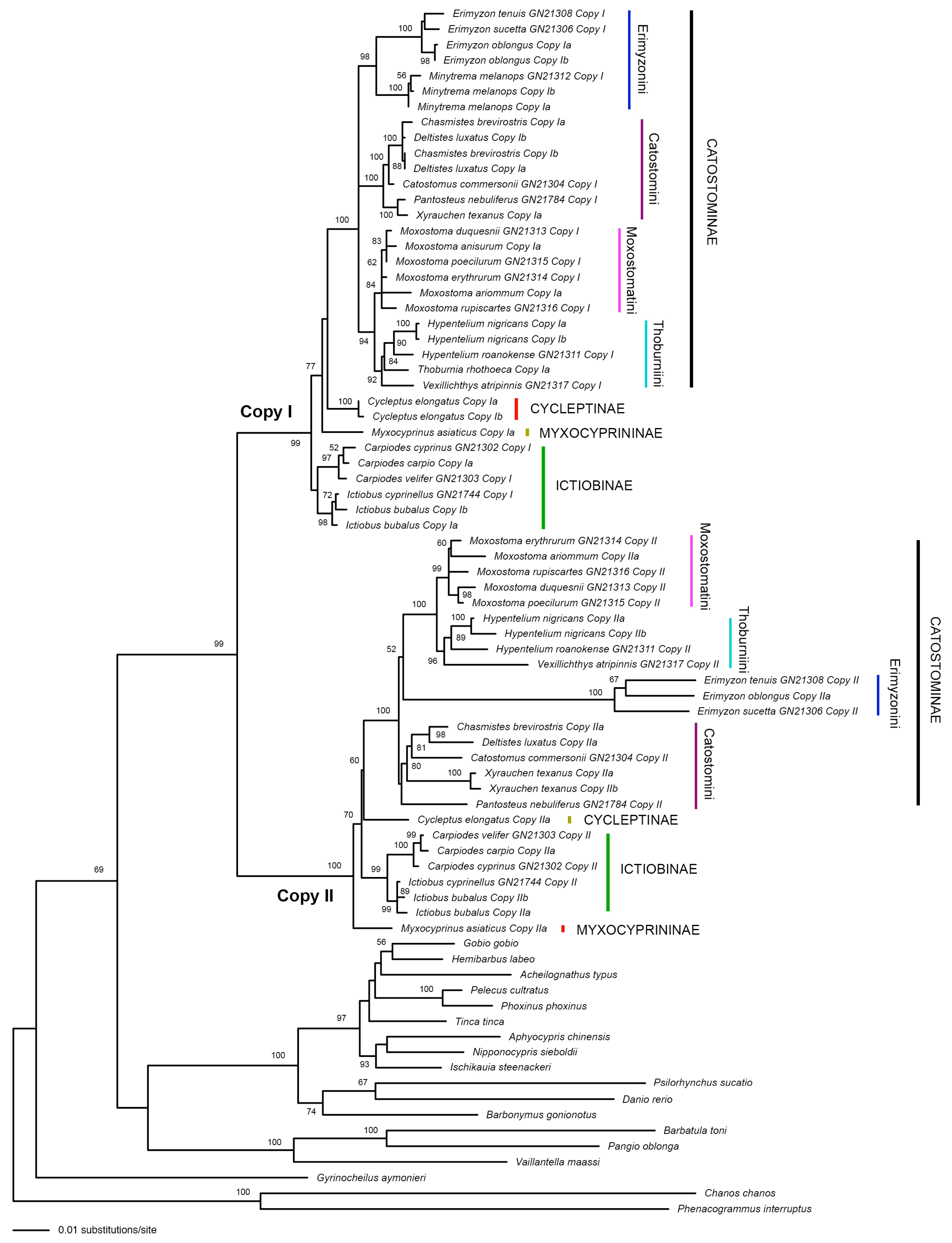 Biology 13 01072 g002 Biology 13 01072 g002