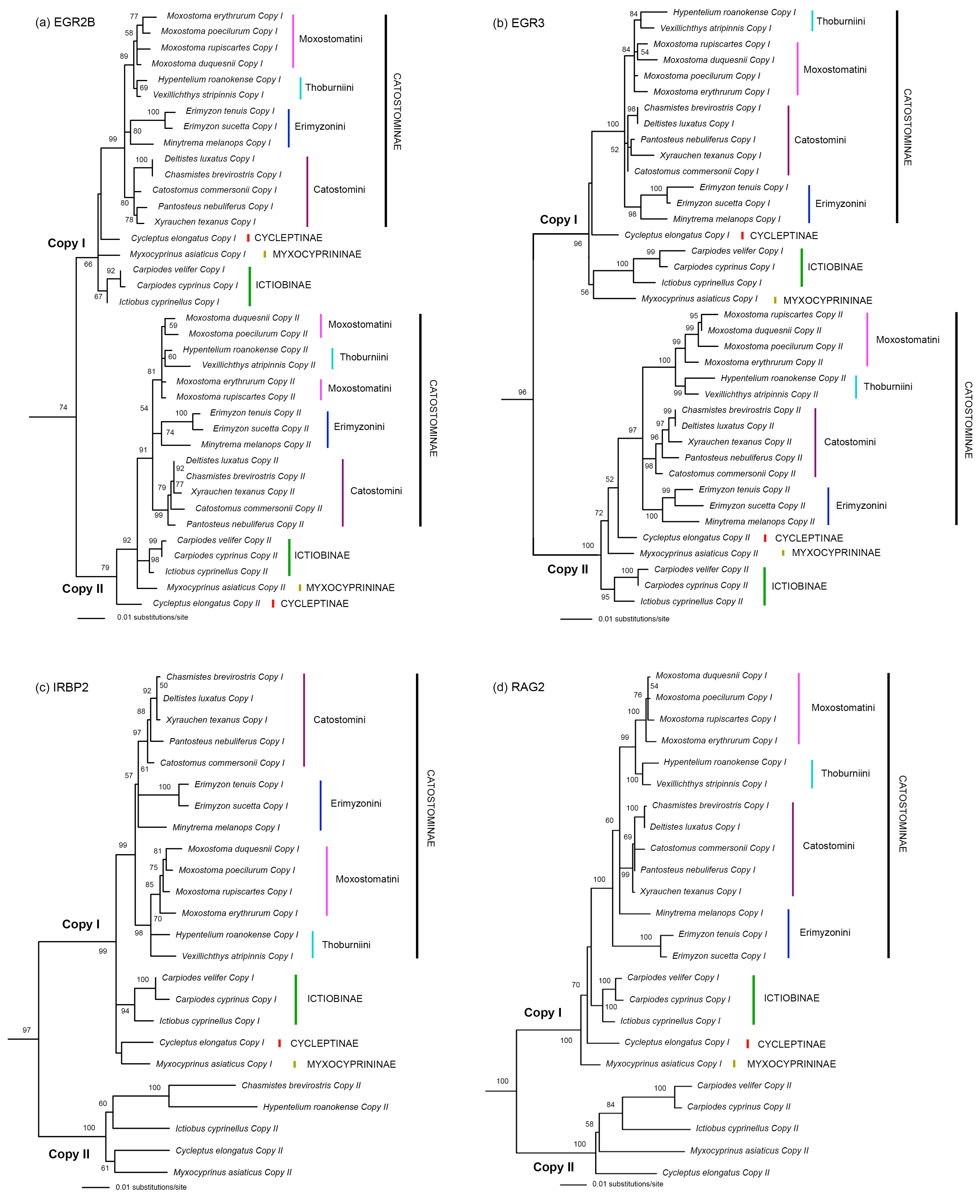 Biology 13 01072 g003 Biology 13 01072 g003