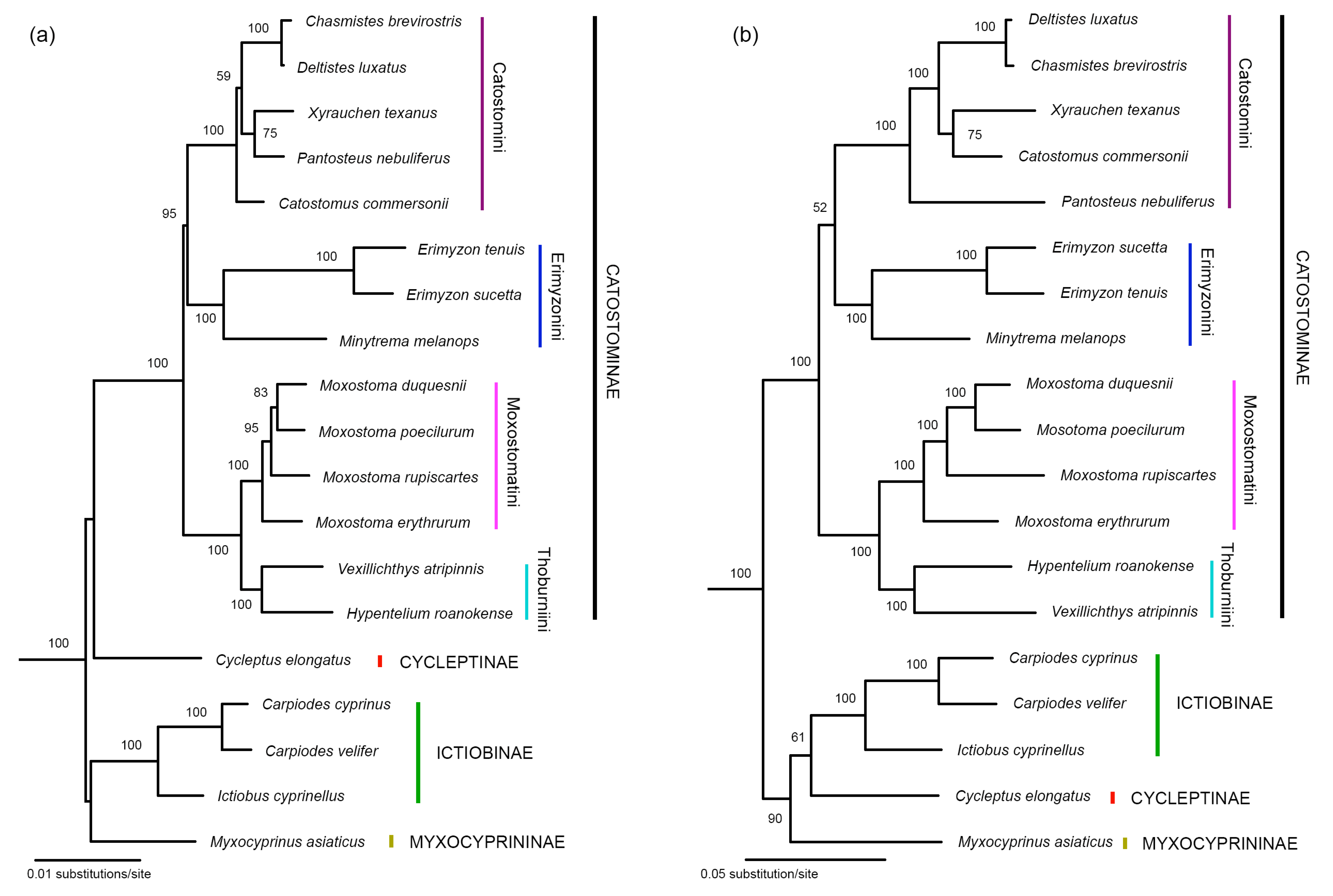 Biology 13 01072 g004 Biology 13 01072 g004