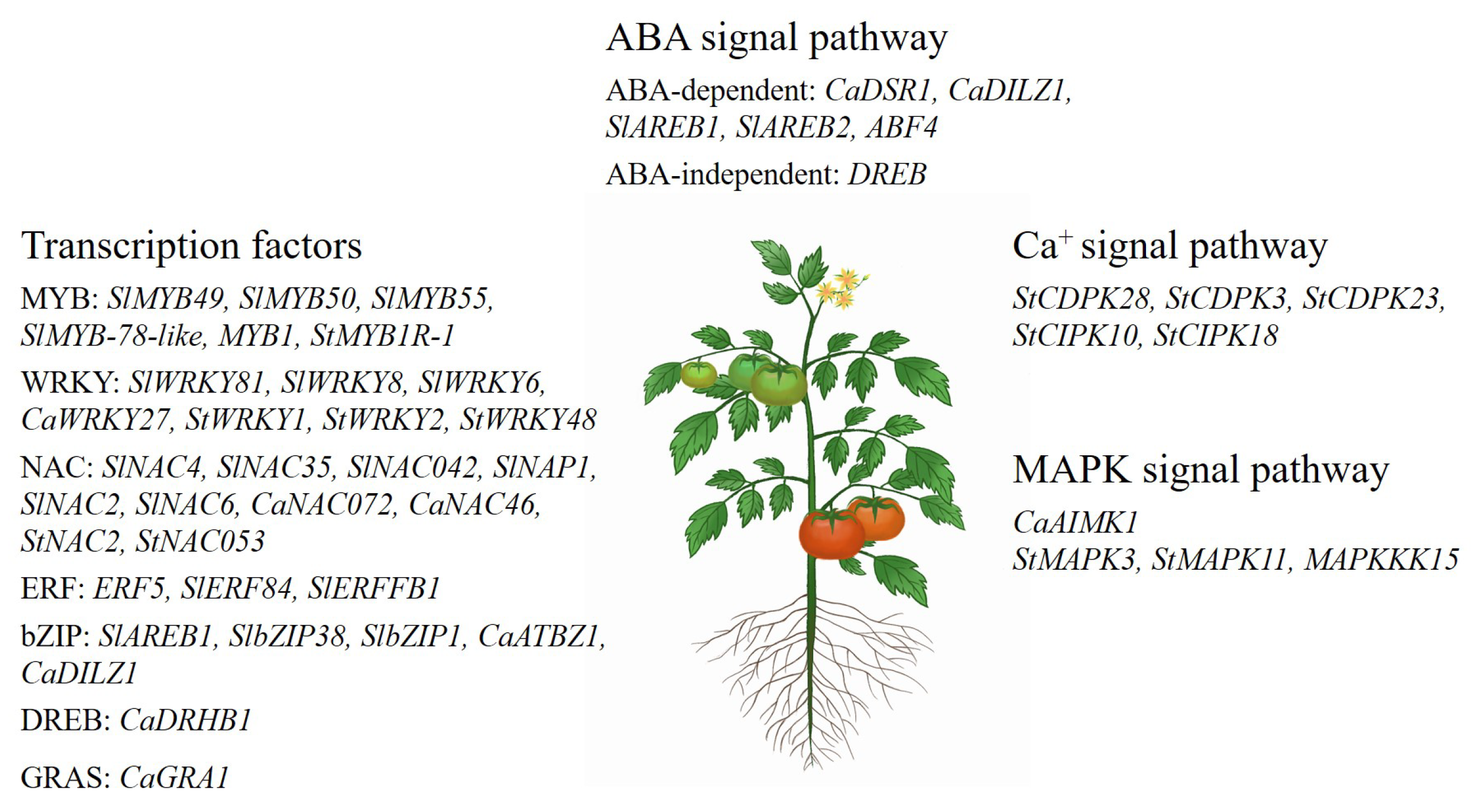 Biology 13 01076 g001