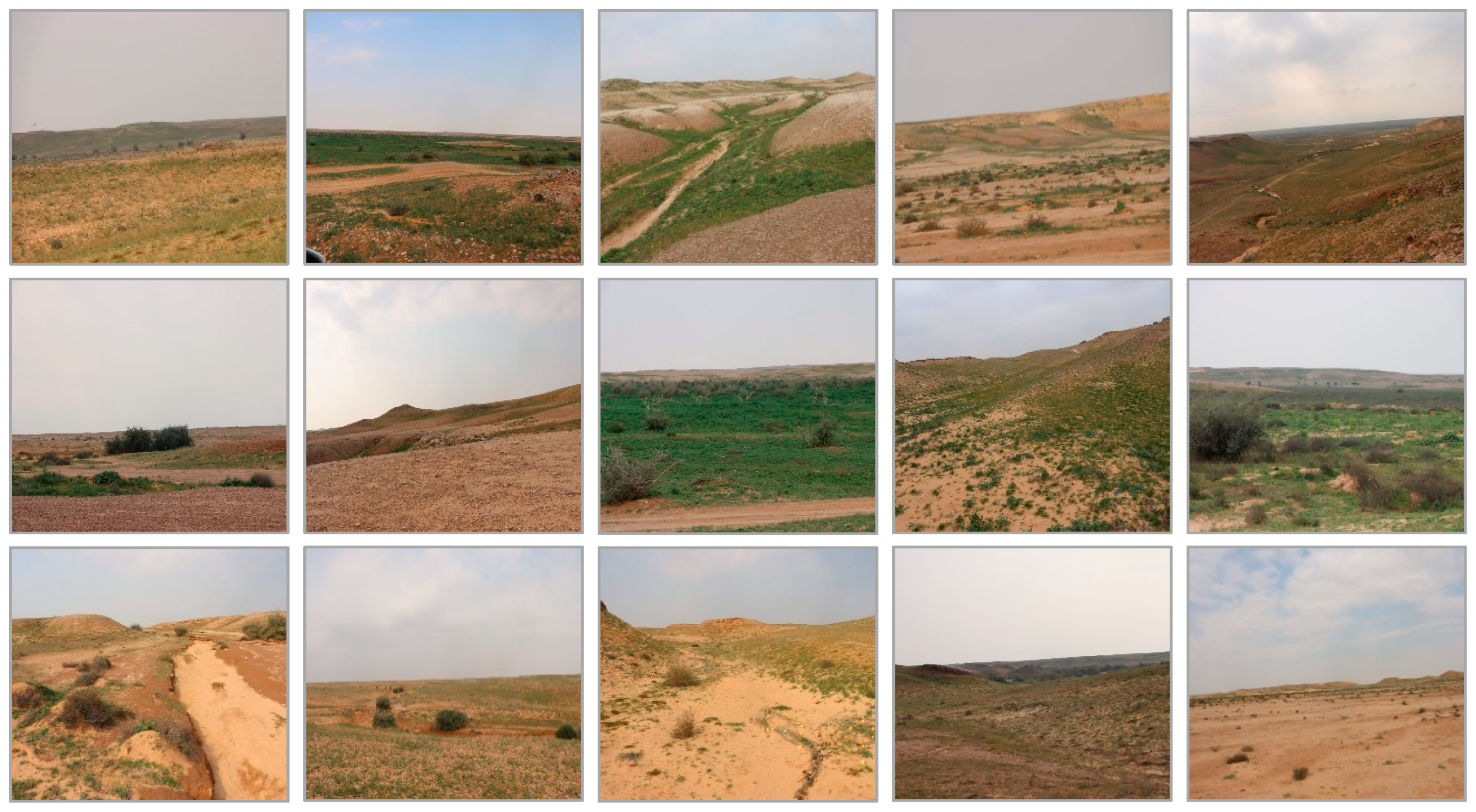 Biology 13 01082 g002