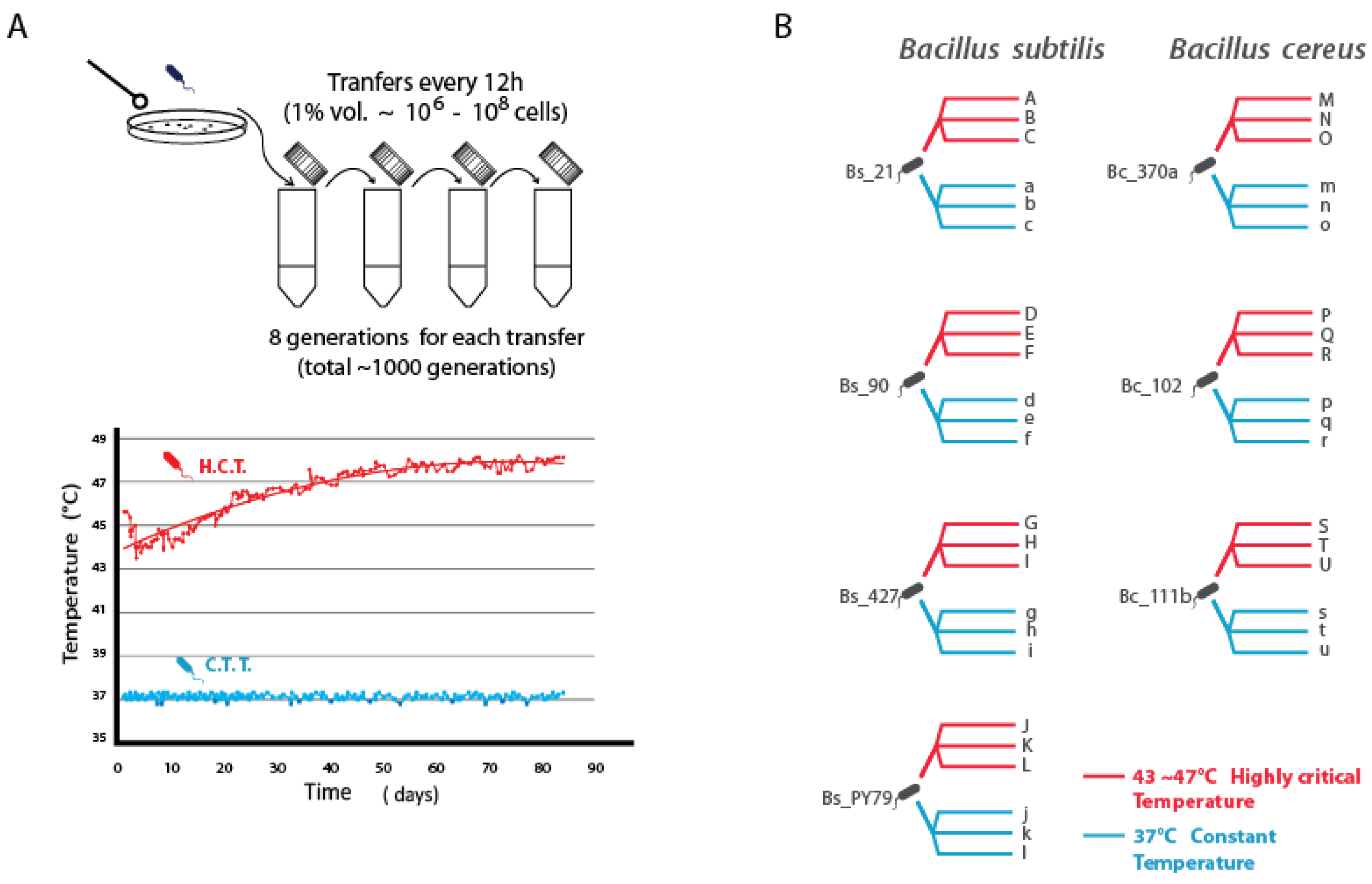 Biology 13 01088 g001