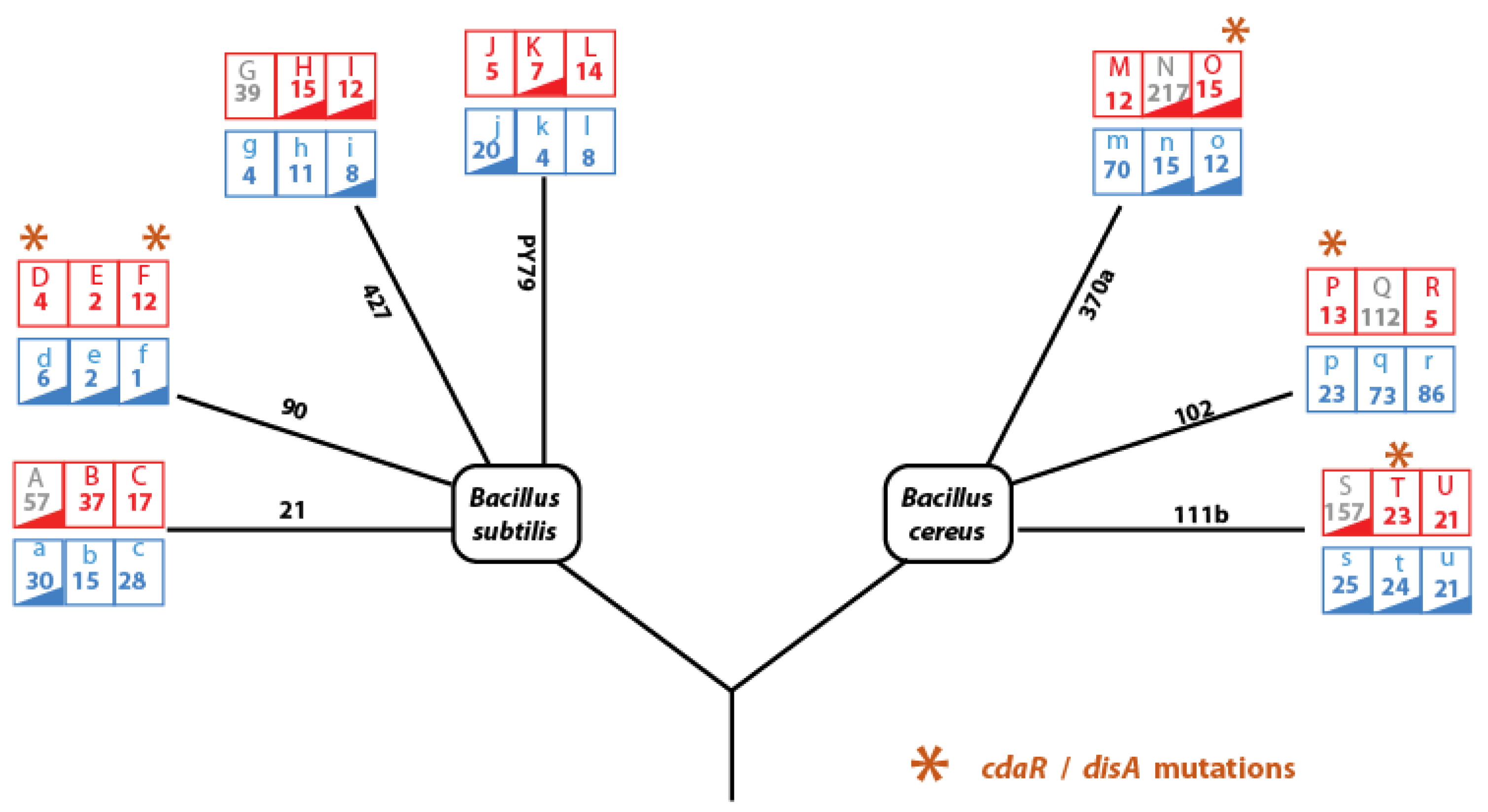 Biology 13 01088 g006
