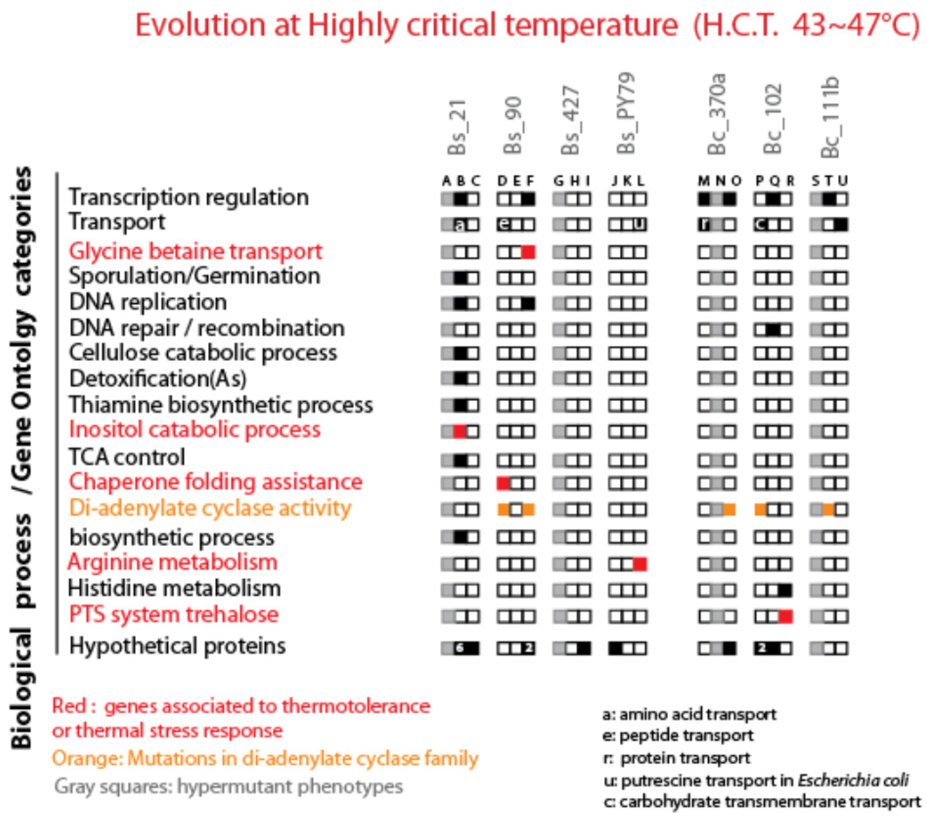 Biology 13 01088 g008
