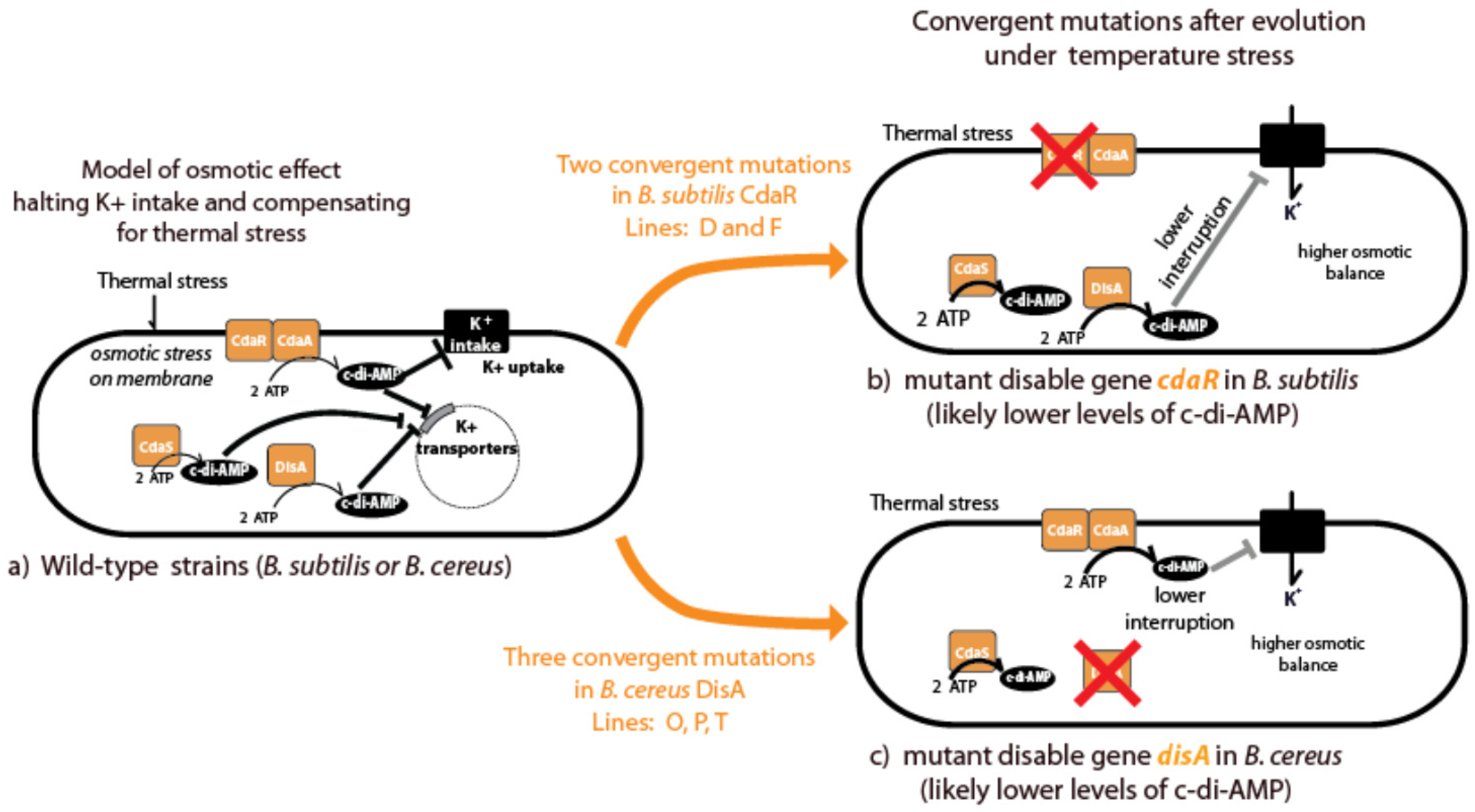 Biology 13 01088 g009