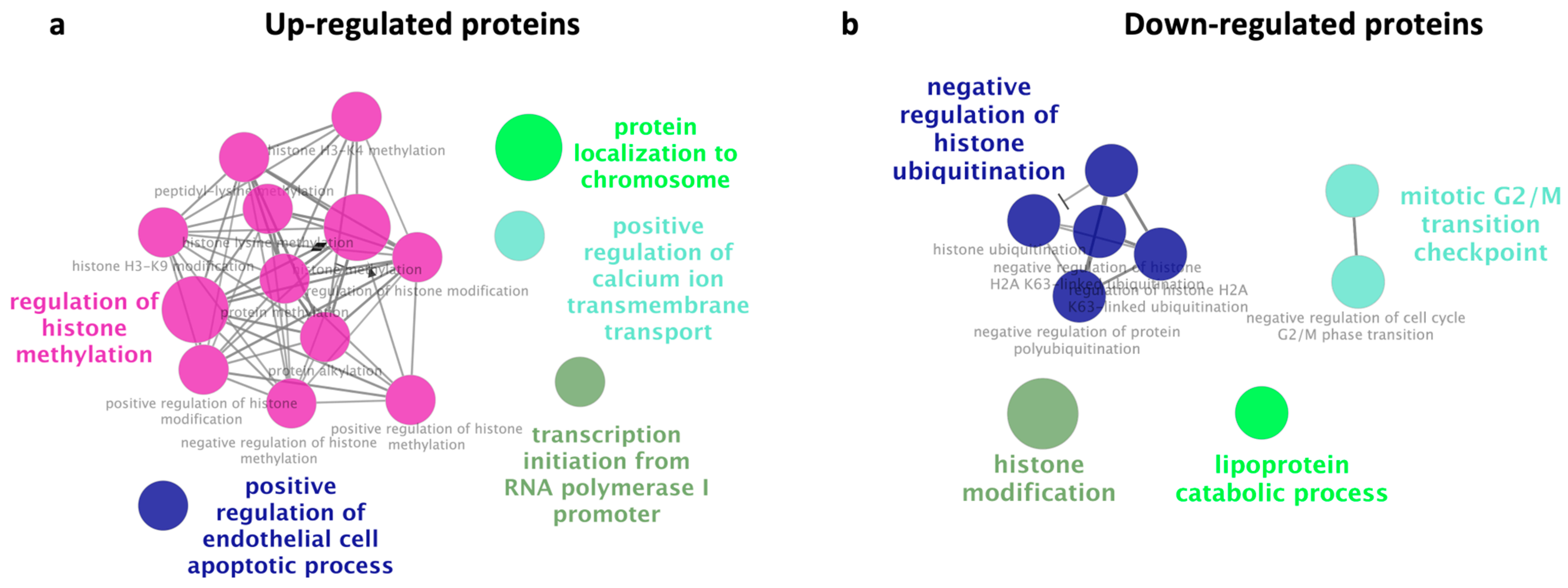 Biology 13 01089 g001