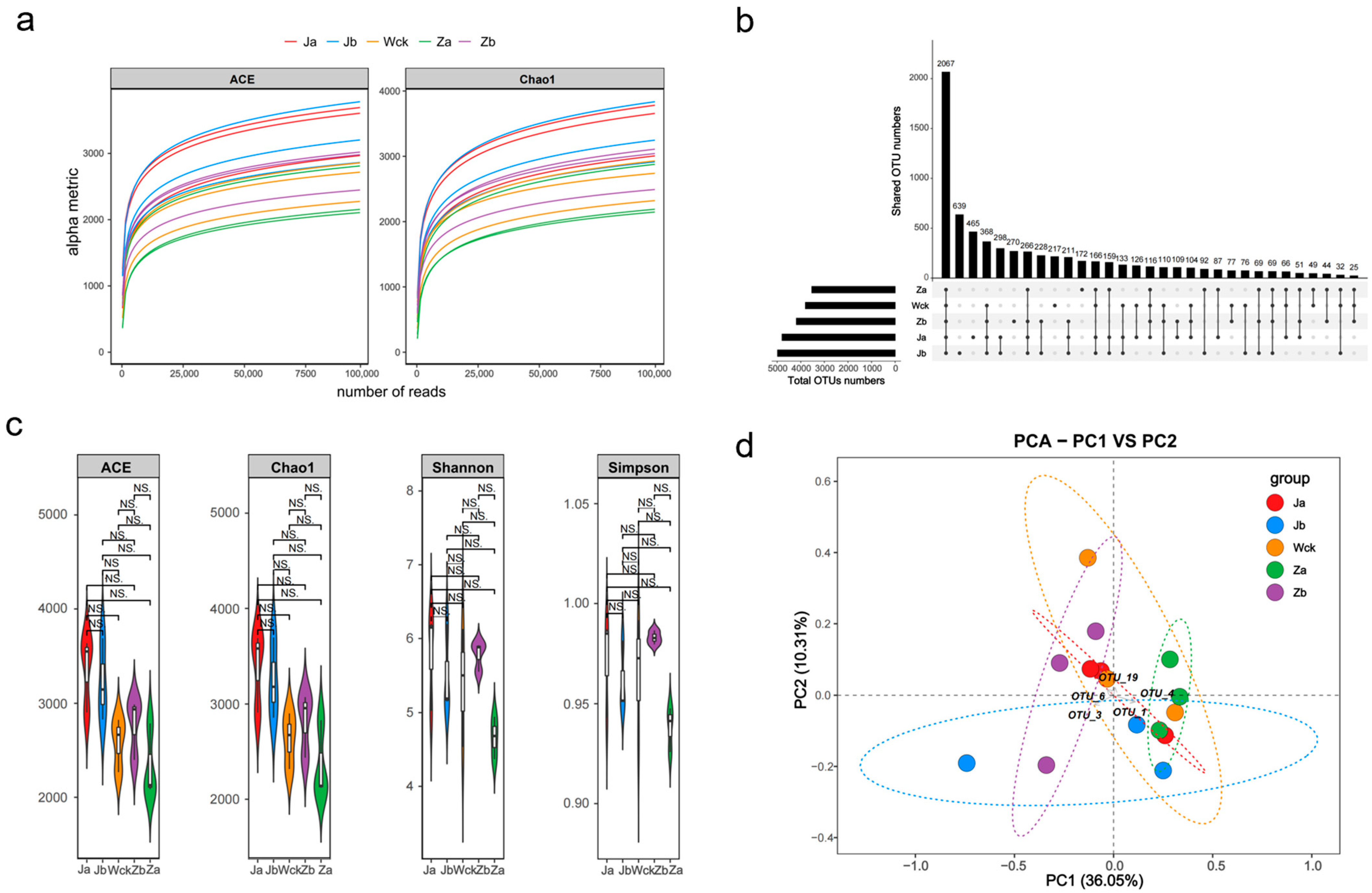 Biology 13 01090 g001 Biology 13 01090 g001