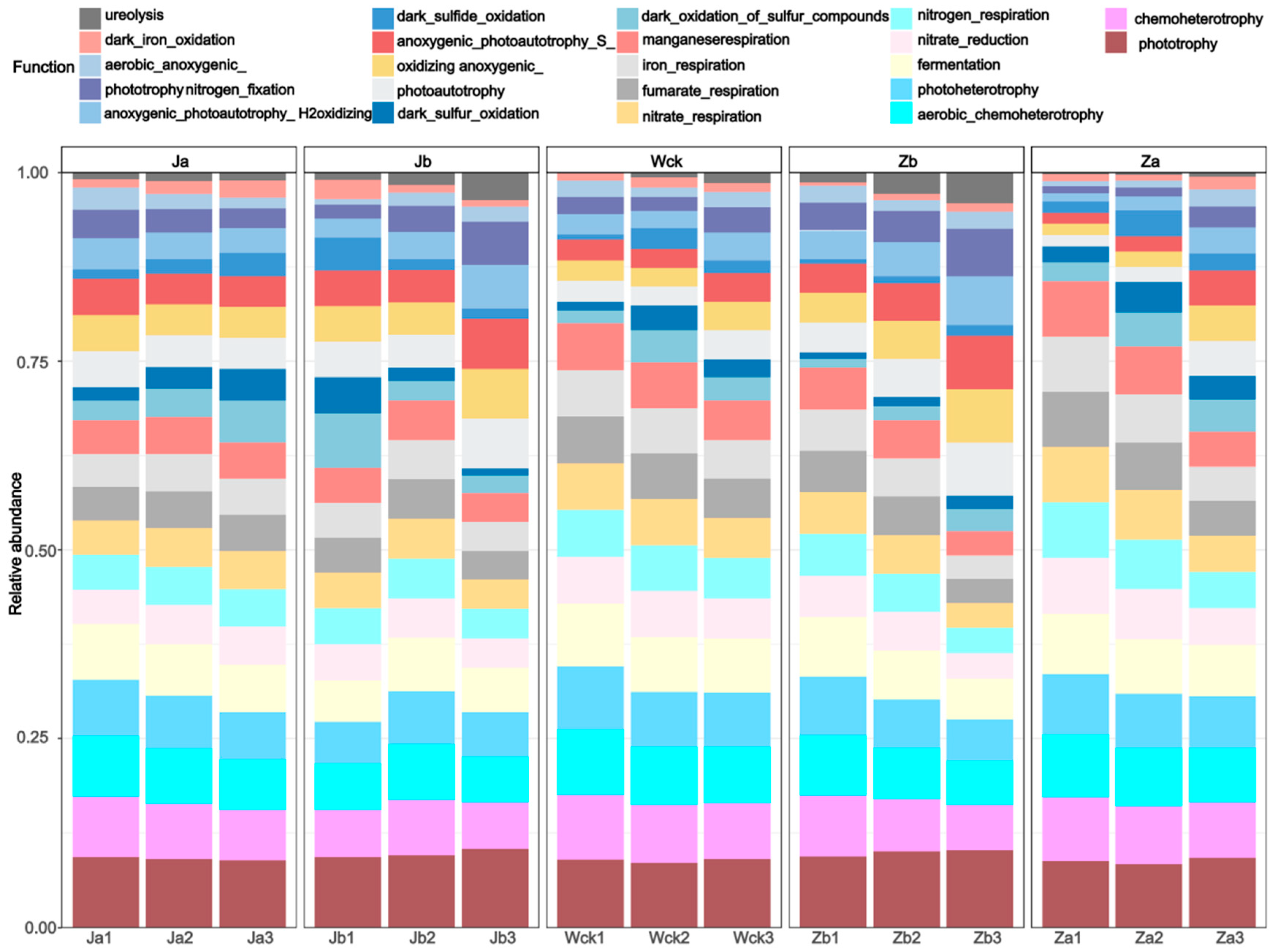 Biology 13 01090 g003 Biology 13 01090 g003