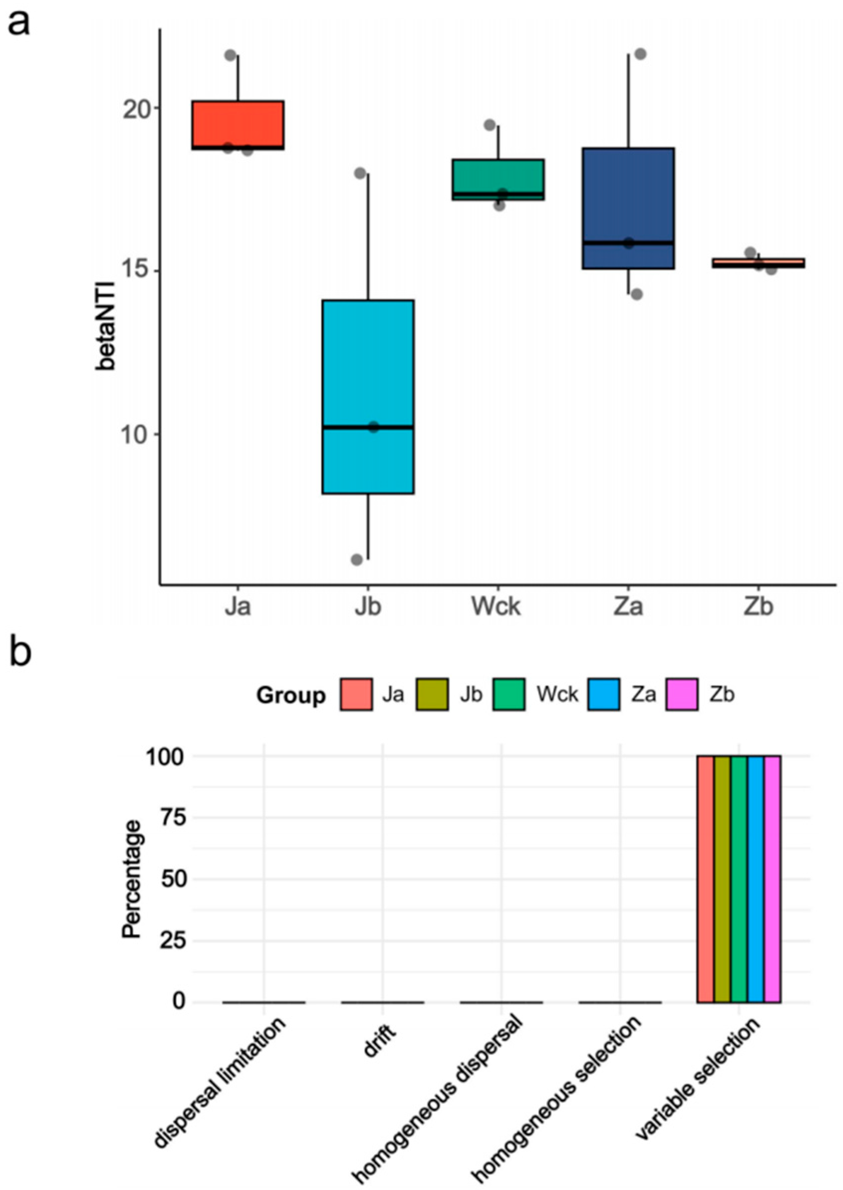 Biology 13 01090 g006 Biology 13 01090 g006