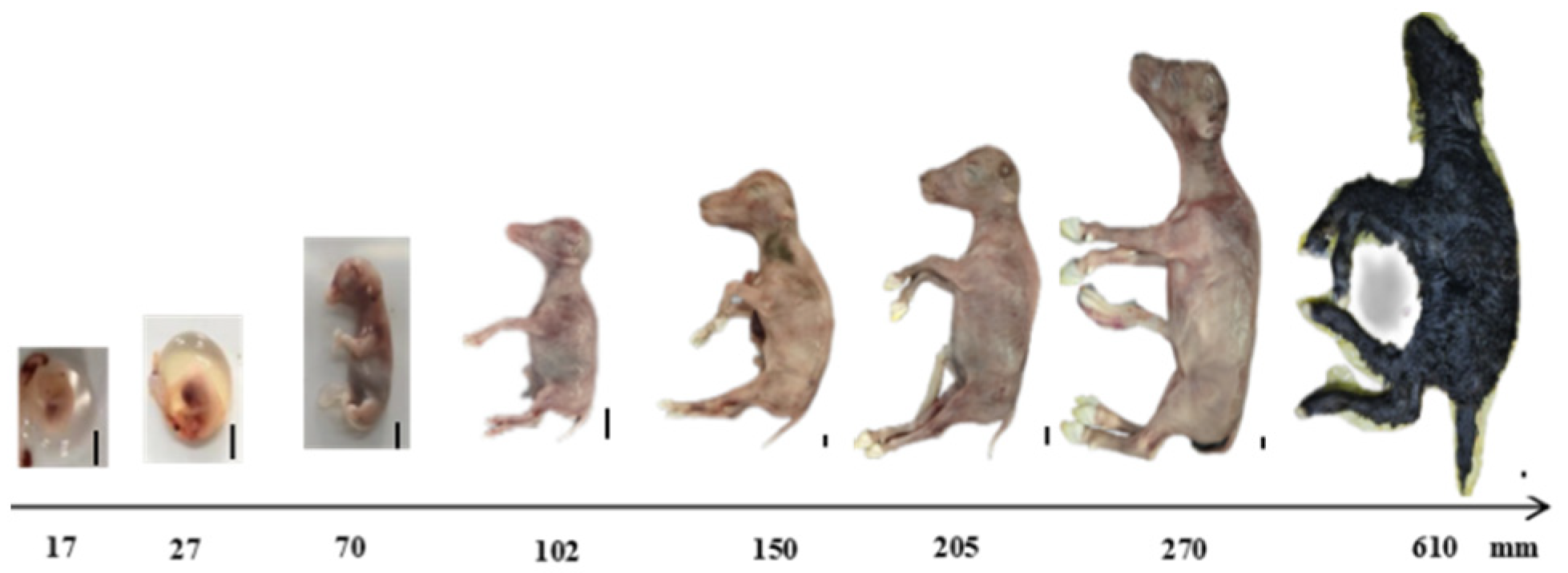 Biology 13 01091 g001 Biology 13 01091 g001